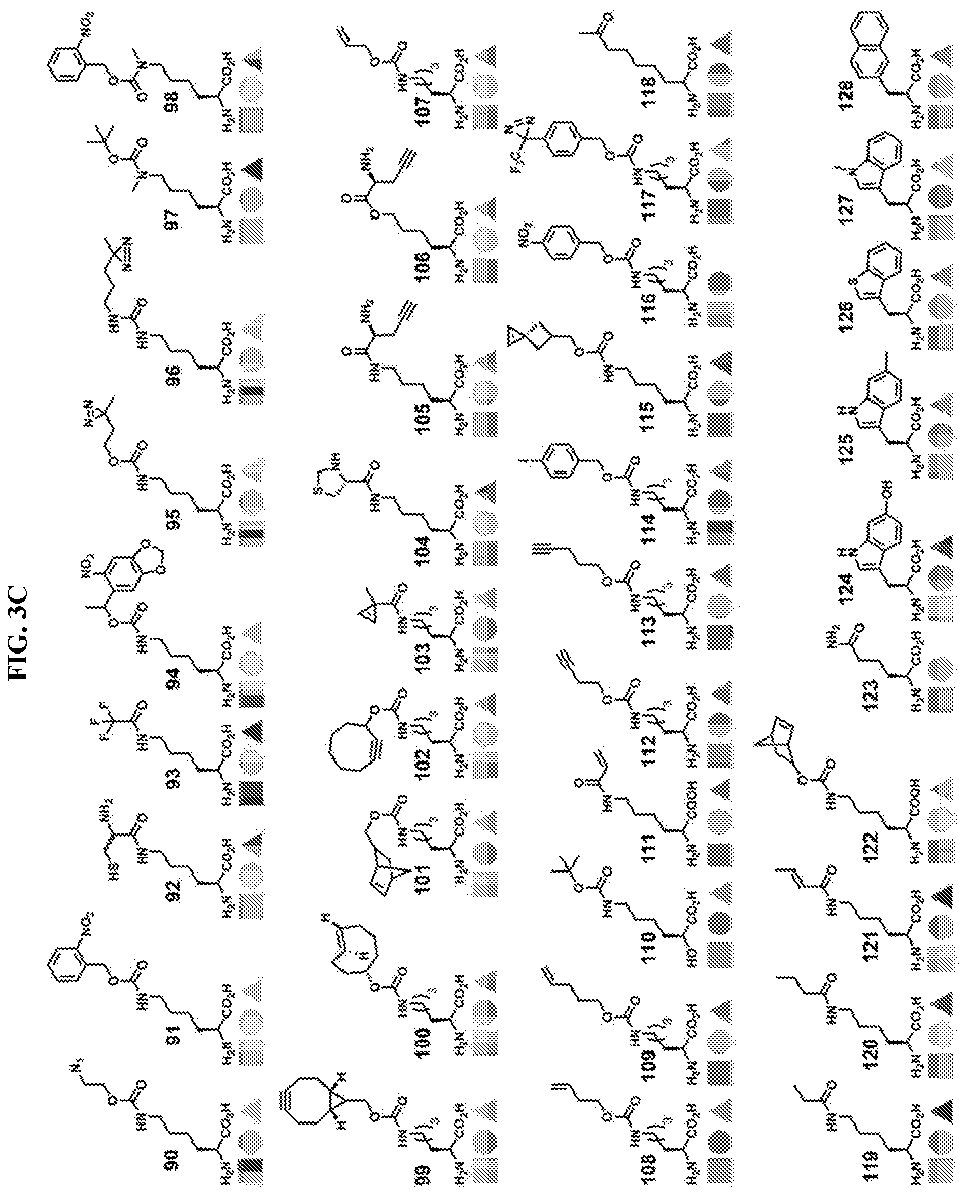 Patent US12318431 Figure 6 – Cytokine conjugates for the treatment of proliferative and infectious diseases