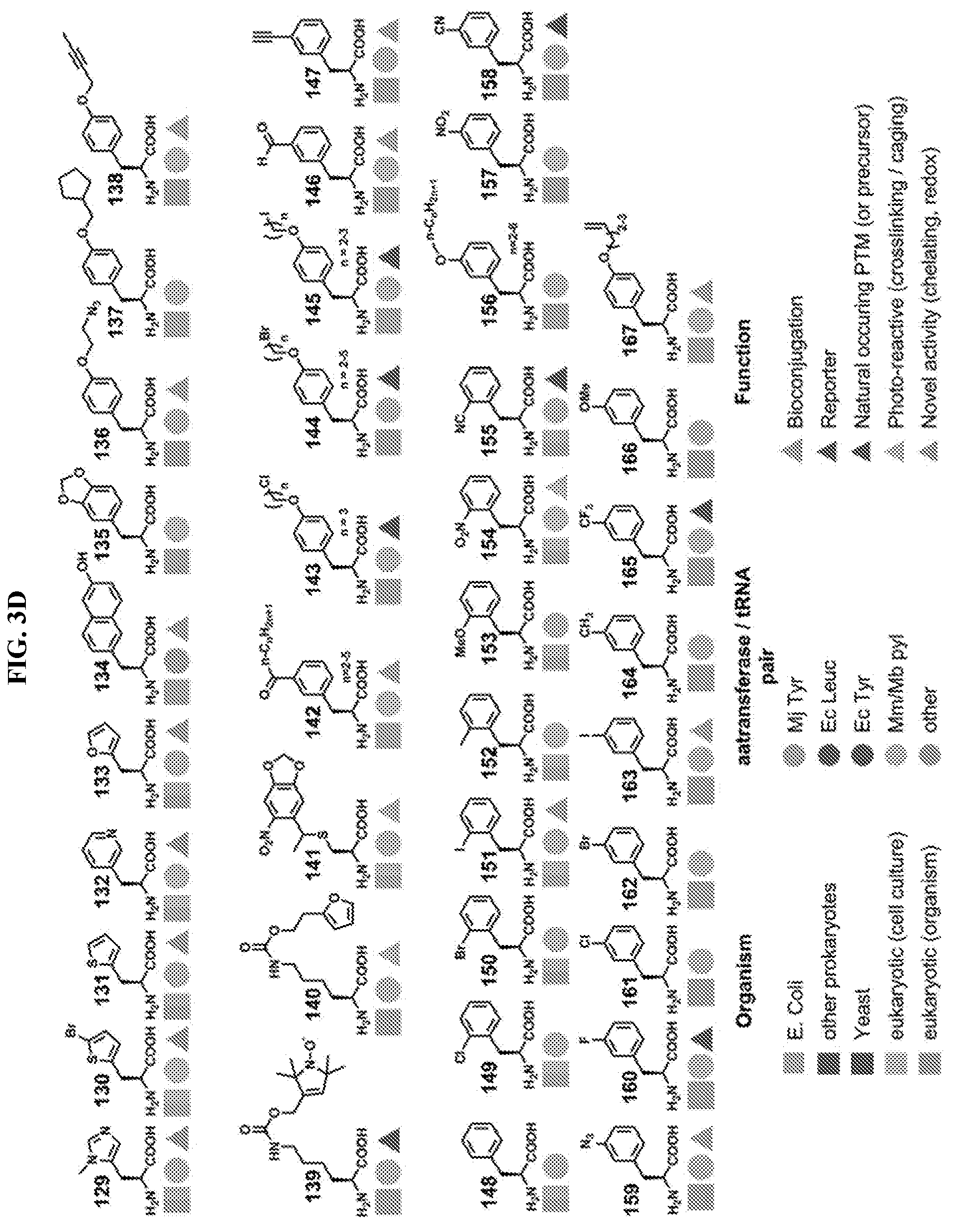 Patent US12318431 Figure 7 – Cytokine conjugates for the treatment of proliferative and infectious diseases