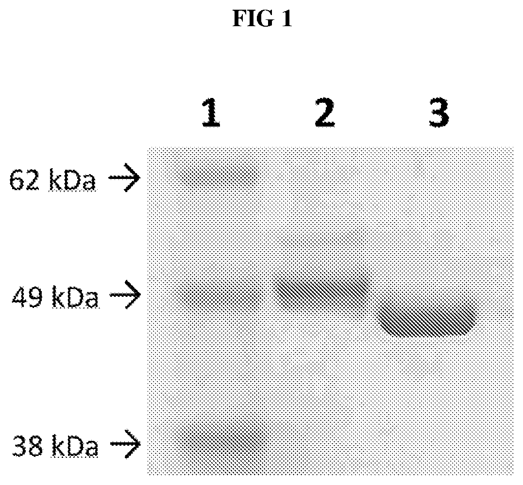 Patent US12318433 Figure 1 – 