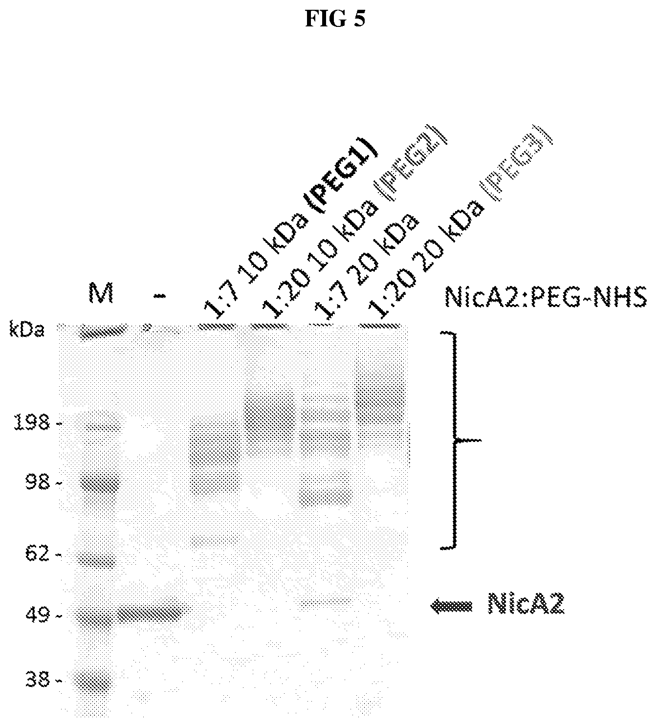 Patent US12318433 Figure 7 – 
