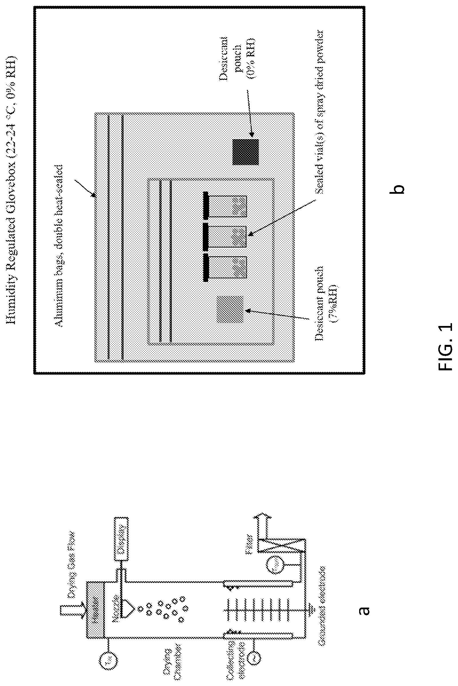 Patent US12318436 — Composition and method for spray drying an adjuvant vaccine emulsion — Figure 1