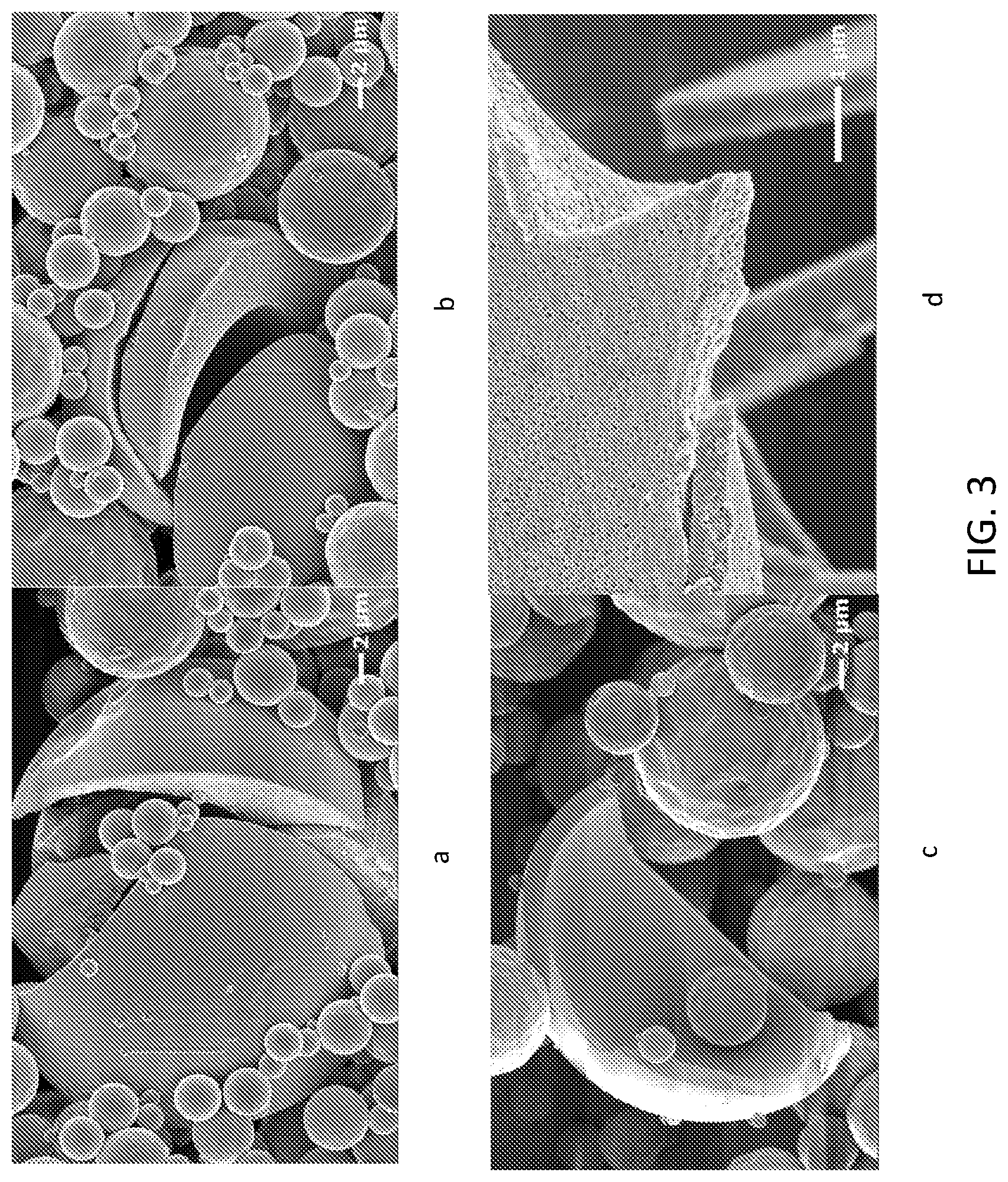 Patent US12318436 Figure 3 – Composition and method for spray drying an adjuvant vaccine emulsion