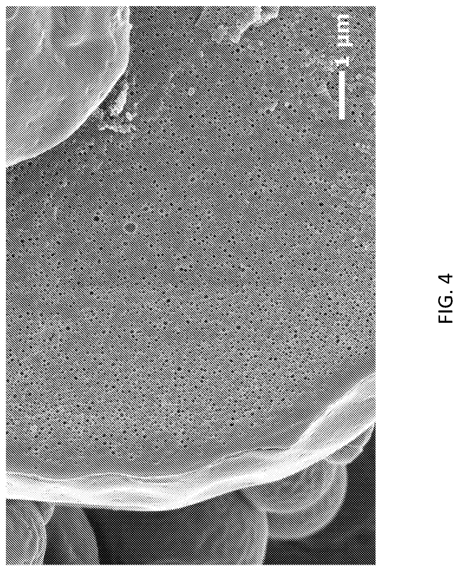 Patent US12318436 Figure 4 – Composition and method for spray drying an adjuvant vaccine emulsion