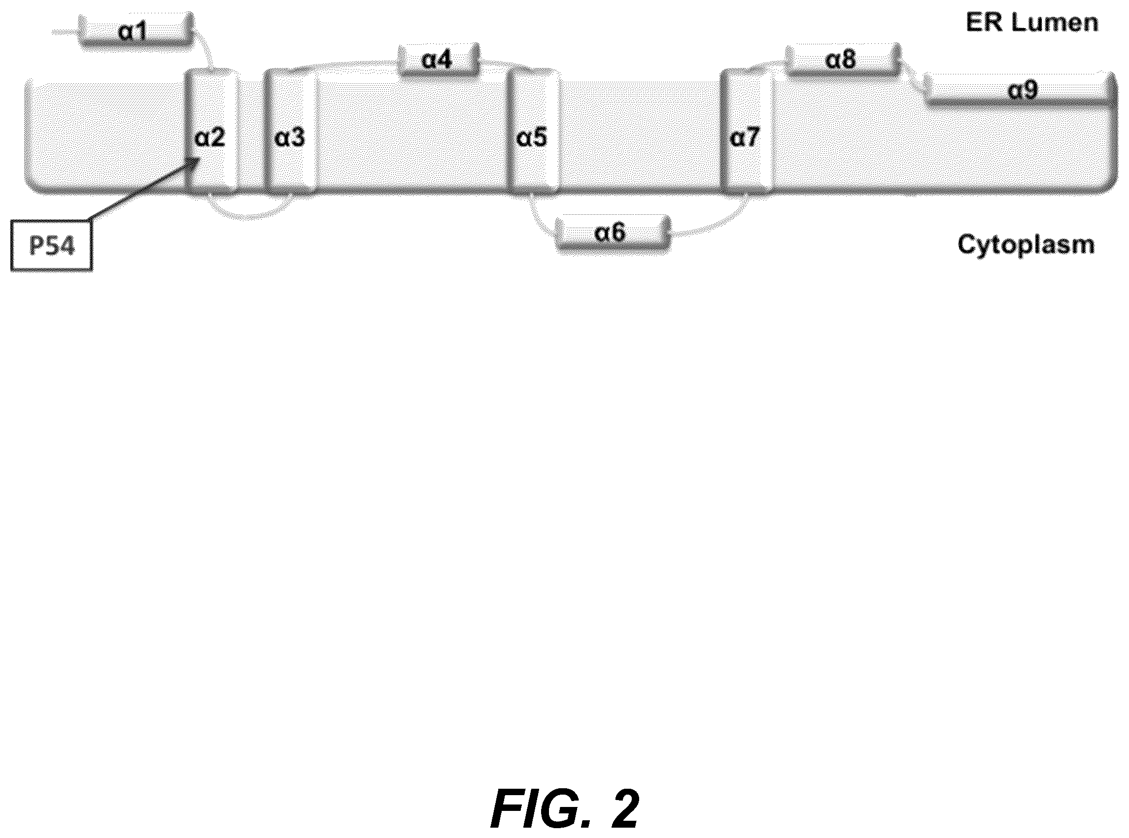 Patent US12318439 Figure 2 – Attenuating viral mutations in protein genes