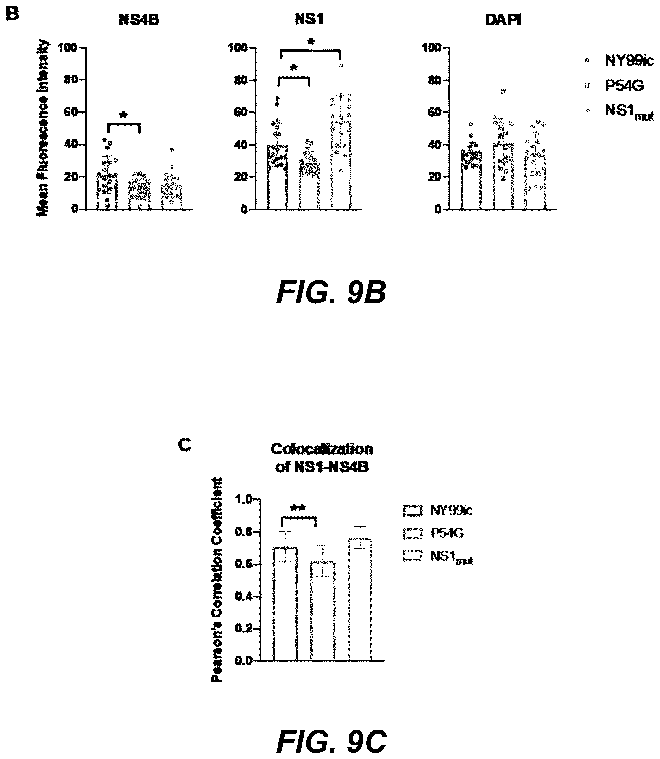 Patent US12318439 Figure 16 – Attenuating viral mutations in protein genes