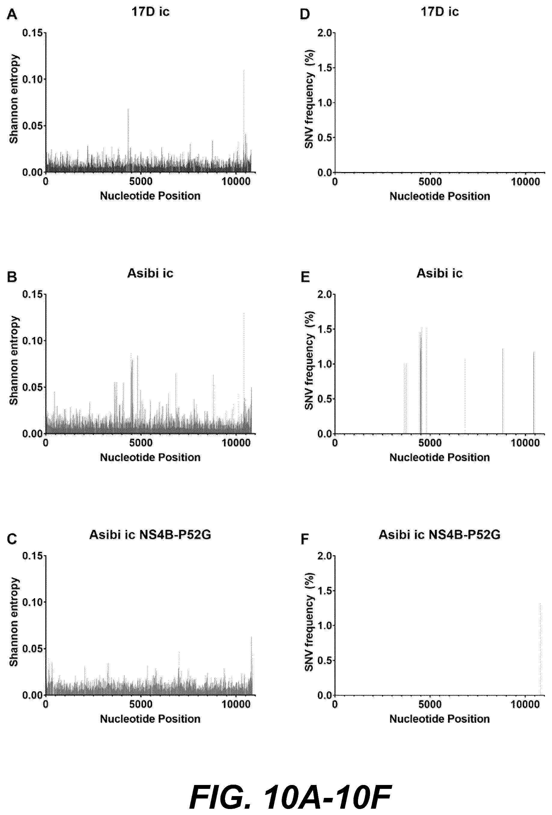 Patent US12318439 Figure 17 – Attenuating viral mutations in protein genes