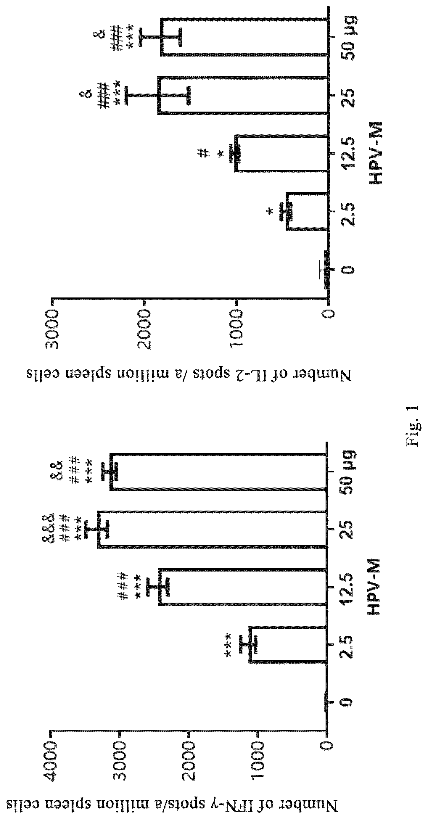 Patent US12318441 Figure 1 – Polynucleotide molecules used for the prevention or treatment of HPV infection related diseases