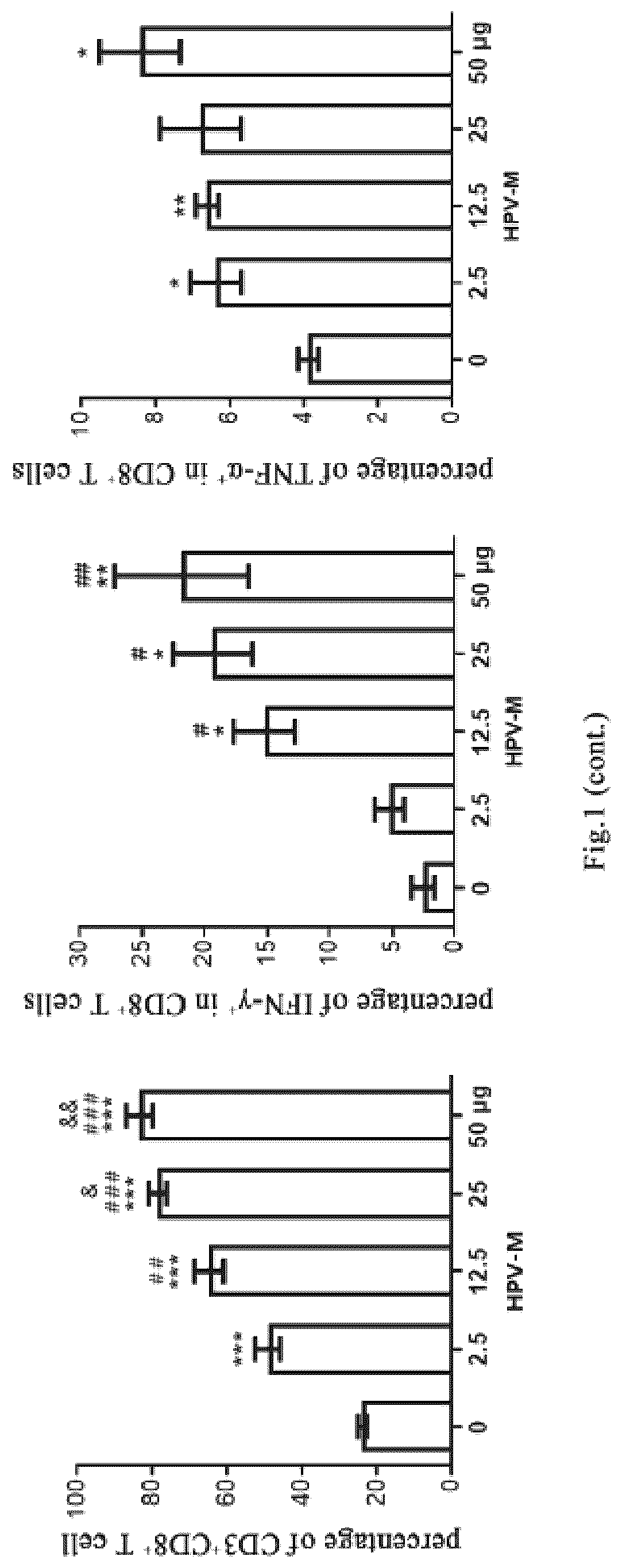 Patent US12318441 Figure 2 – Polynucleotide molecules used for the prevention or treatment of HPV infection related diseases
