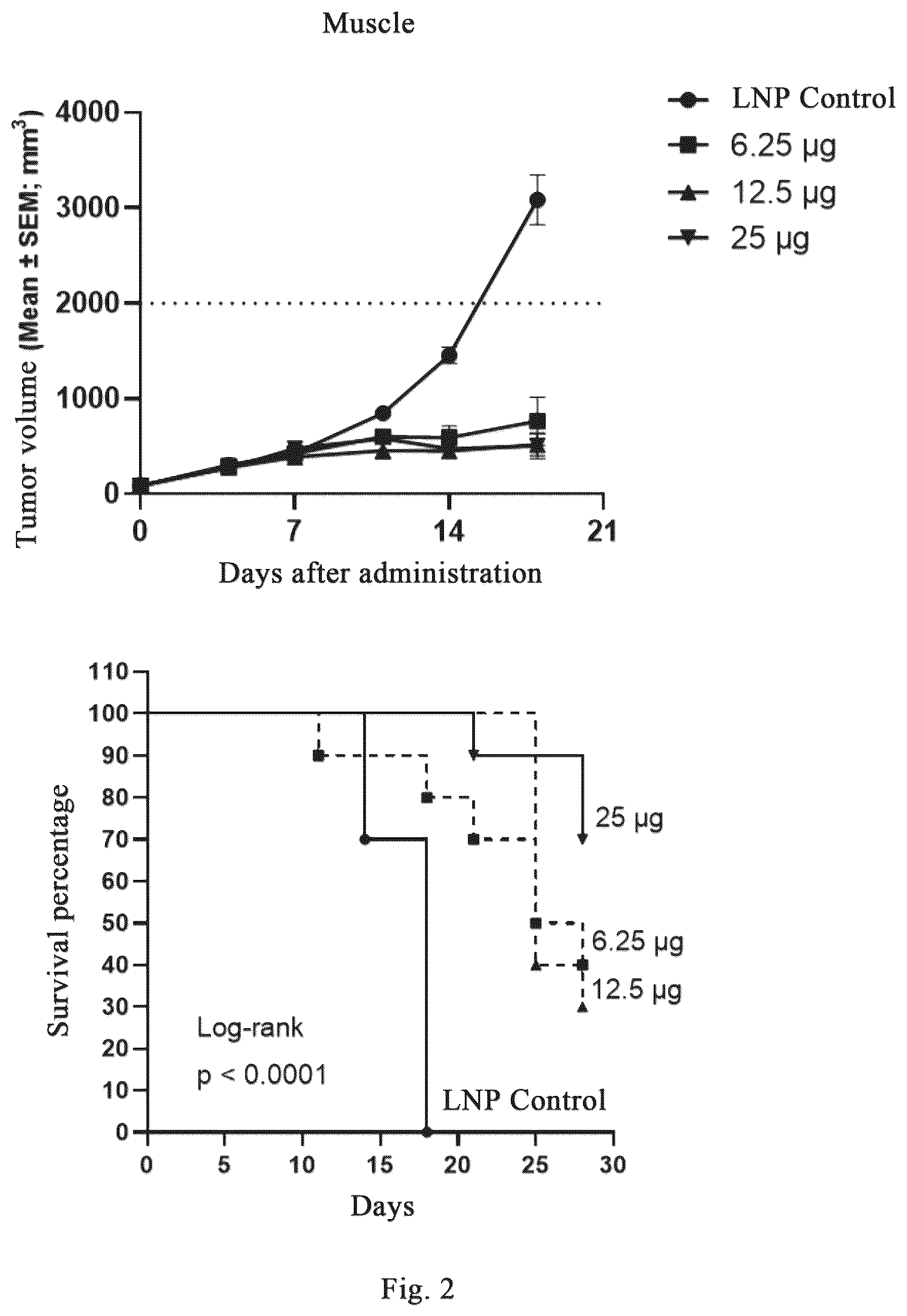 Patent US12318441 Figure 3 – Polynucleotide molecules used for the prevention or treatment of HPV infection related diseases