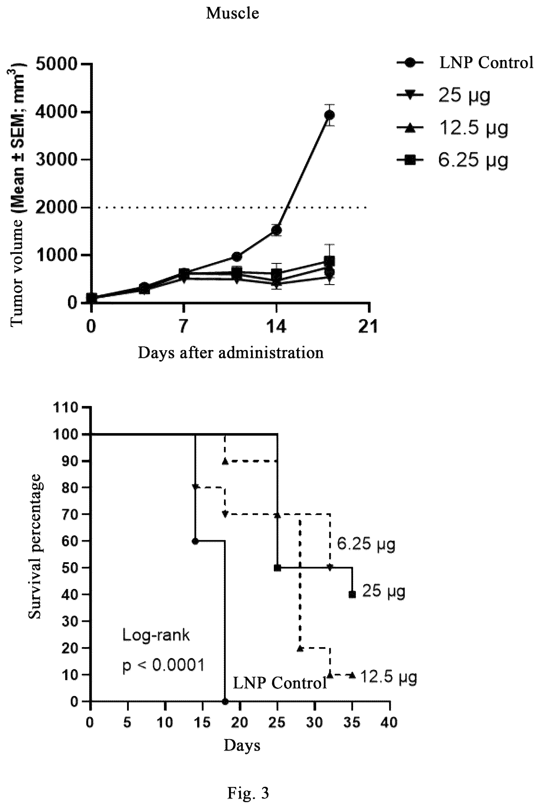 Patent US12318441 Figure 5 – Polynucleotide molecules used for the prevention or treatment of HPV infection related diseases