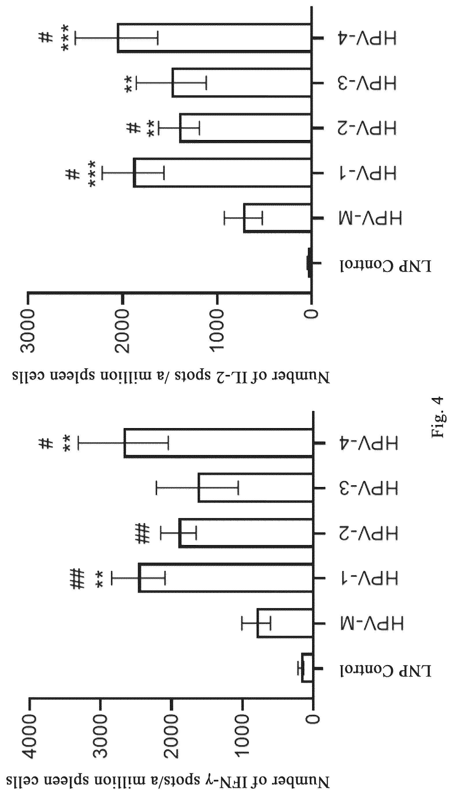 Patent US12318441 Figure 7 – Polynucleotide molecules used for the prevention or treatment of HPV infection related diseases