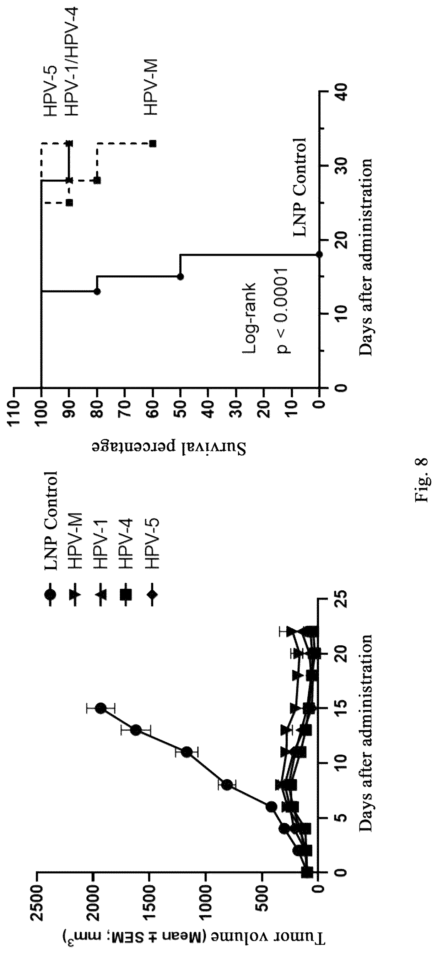 Patent US12318441 Figure 11 – Polynucleotide molecules used for the prevention or treatment of HPV infection related diseases