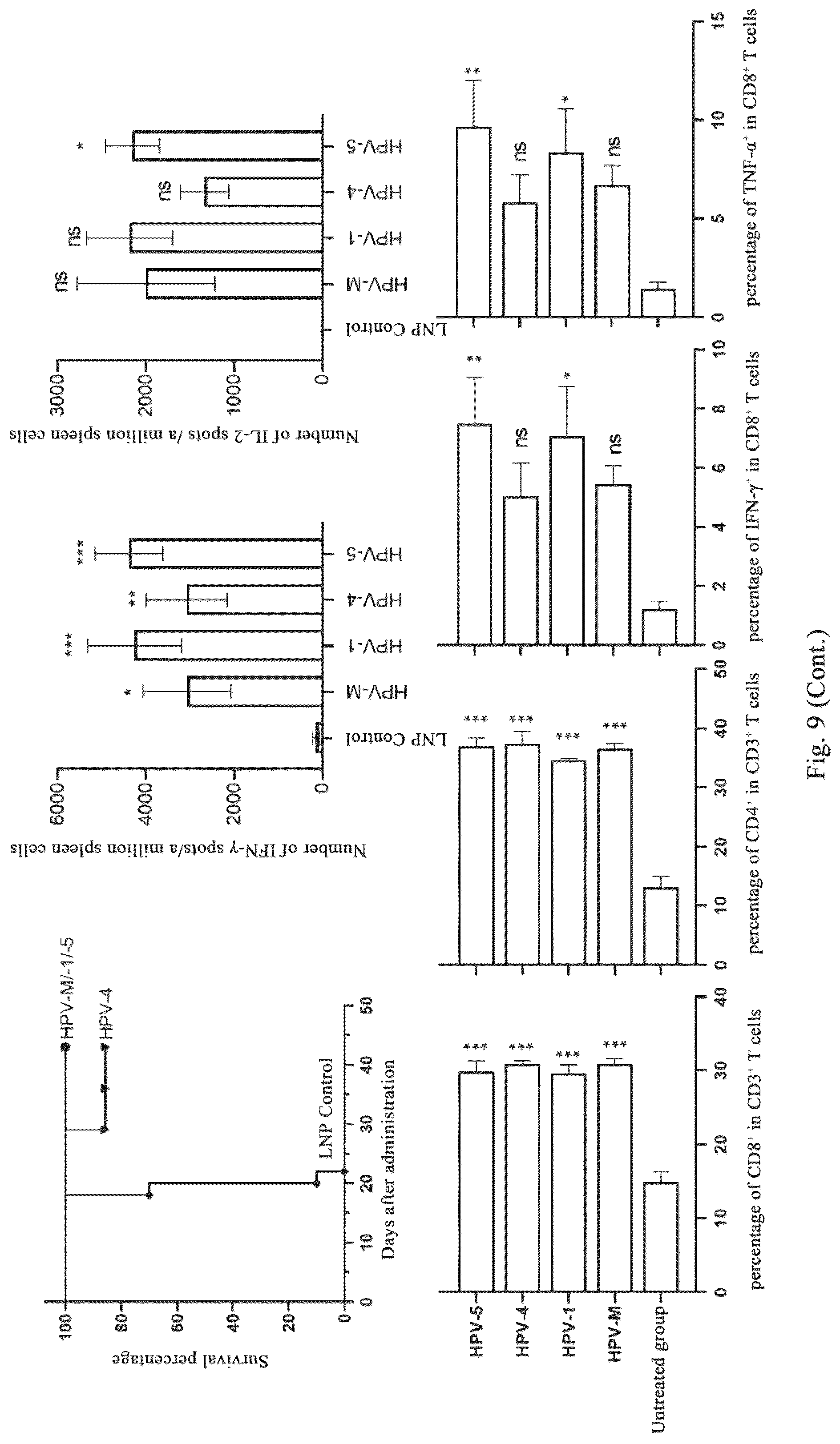 Patent US12318441 Figure 13 – Polynucleotide molecules used for the prevention or treatment of HPV infection related diseases