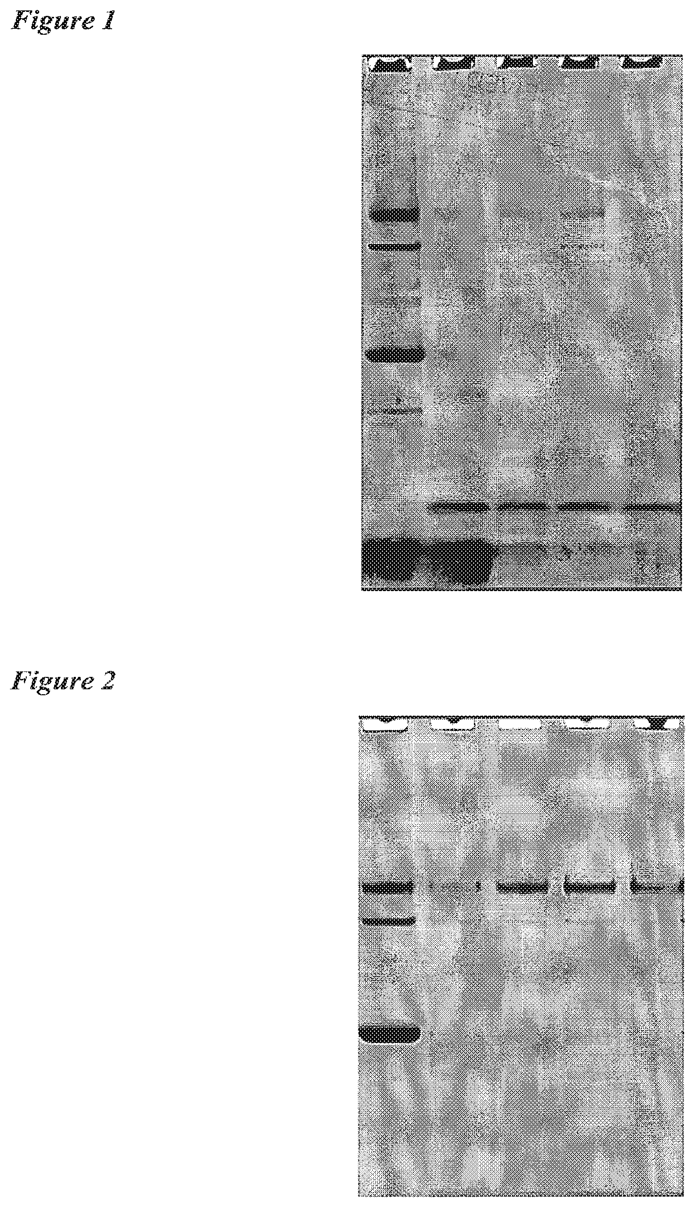 Patent US12318442 Figure 1 – Preparation of influenza virus vaccine antigens