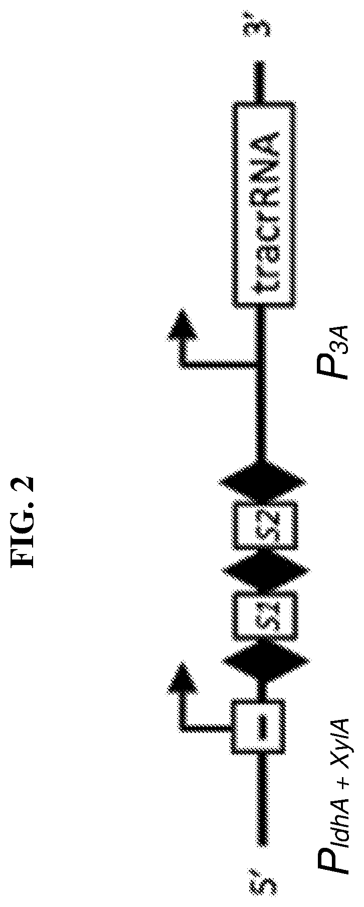 Patent US12318445 Figure 2 – Selectively altering microbiota for immune modulation