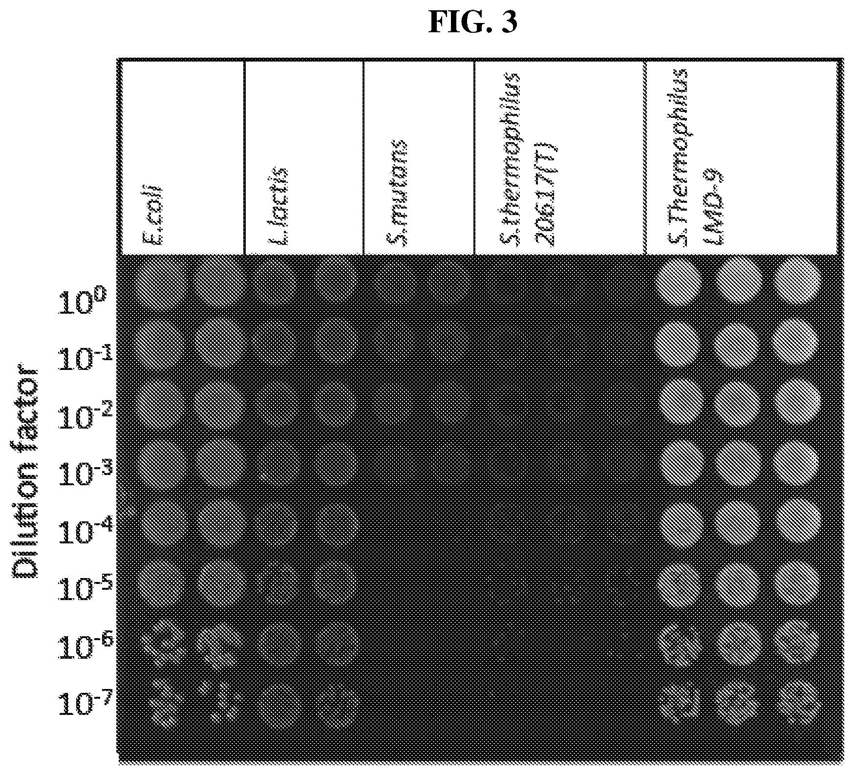 Patent US12318445 Figure 3 – Selectively altering microbiota for immune modulation