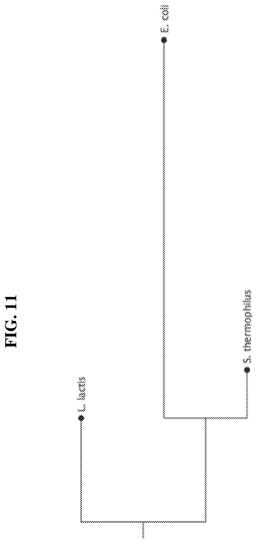 Patent US12318445 Figure 13 – Selectively altering microbiota for immune modulation