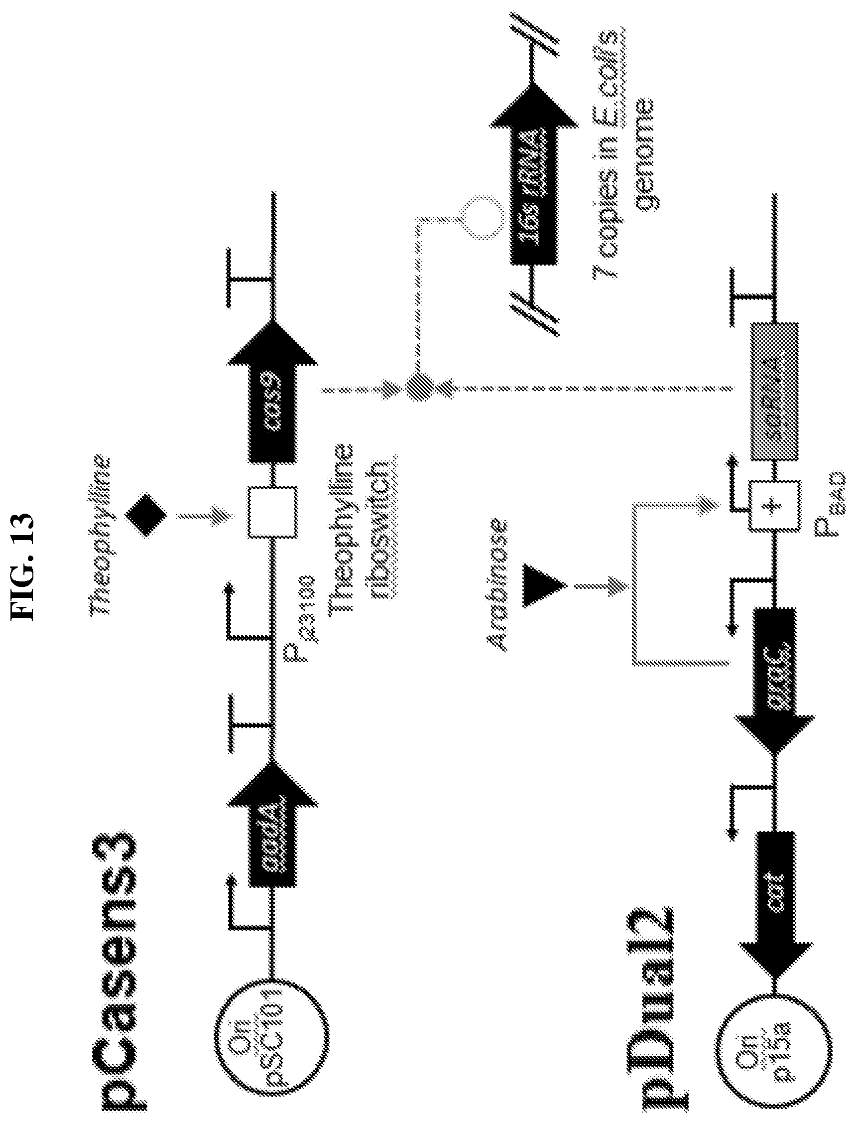 Patent US12318445 Figure 15 – Selectively altering microbiota for immune modulation