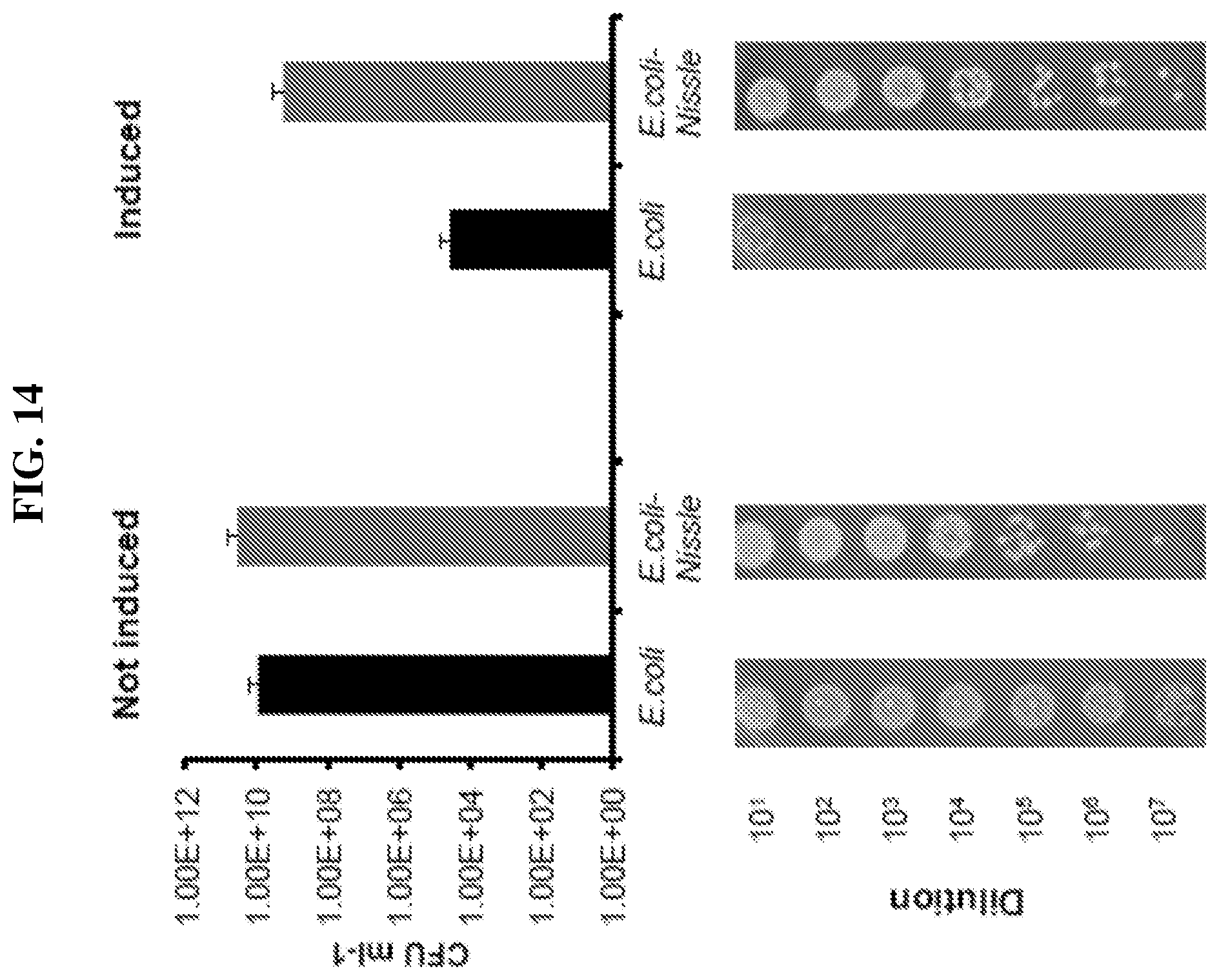 Patent US12318445 Figure 16 – Selectively altering microbiota for immune modulation