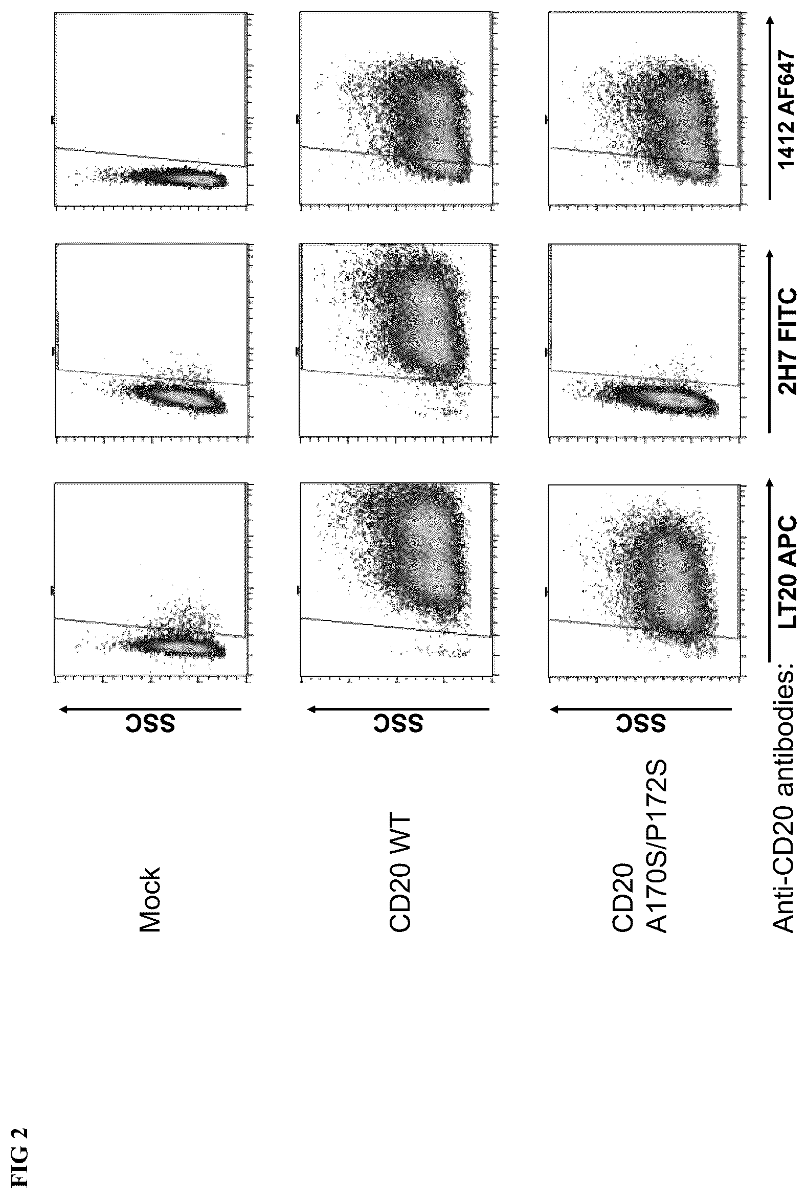 Patent US12318446 Figure 2 – Reducing side effects of immunotherapy using genetically modified hematopoietic cells
