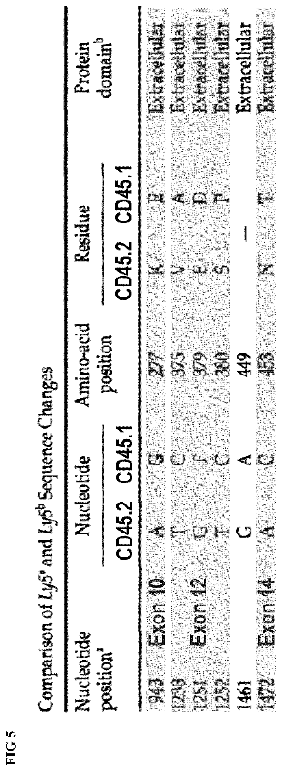 Patent US12318446 Figure 5 – Reducing side effects of immunotherapy using genetically modified hematopoietic cells