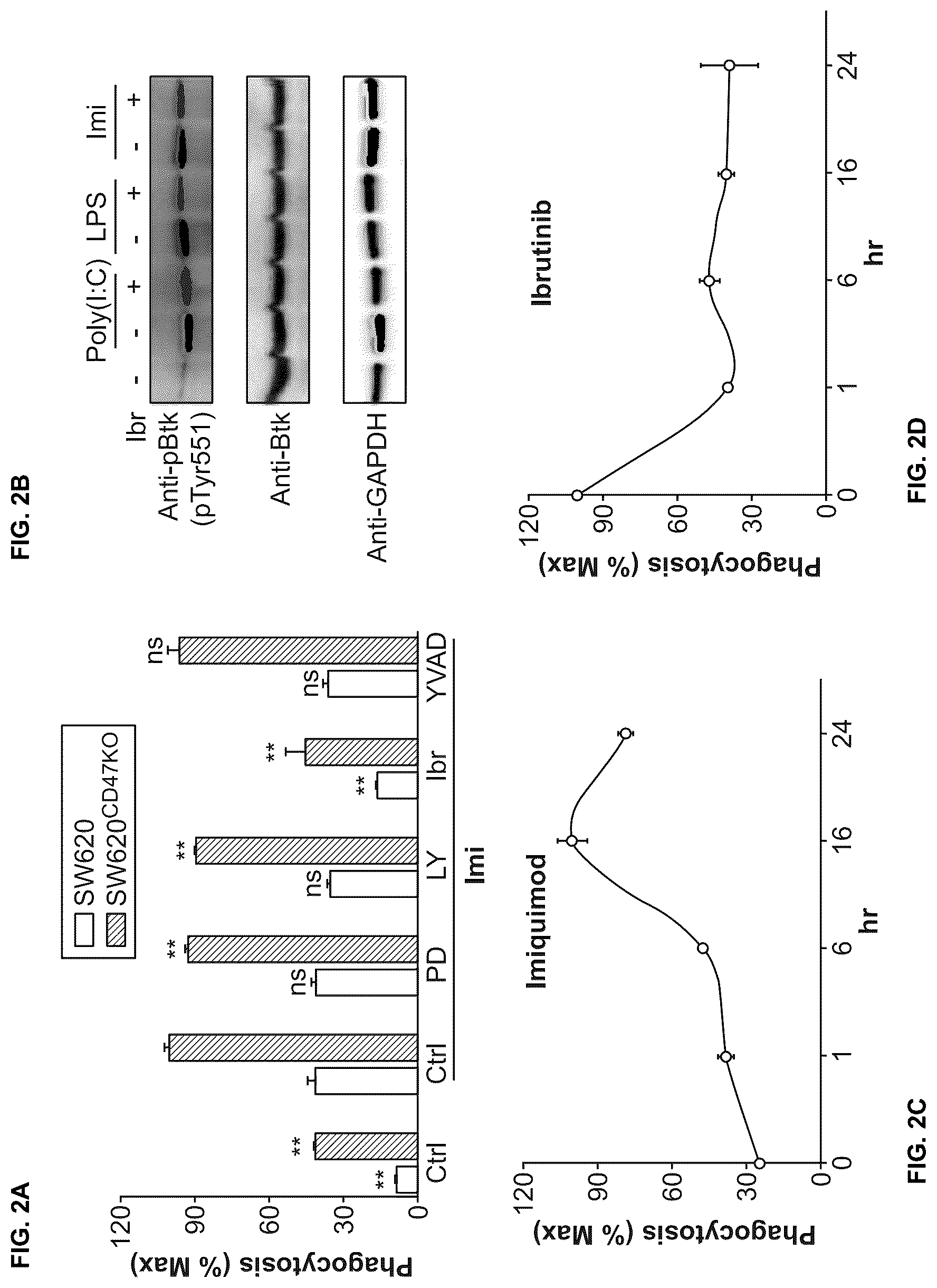 Patent US12318448 Figure 2 – Use of TLR agonist and anti-CD47 agent to enhance phagocytosis of cancer cells