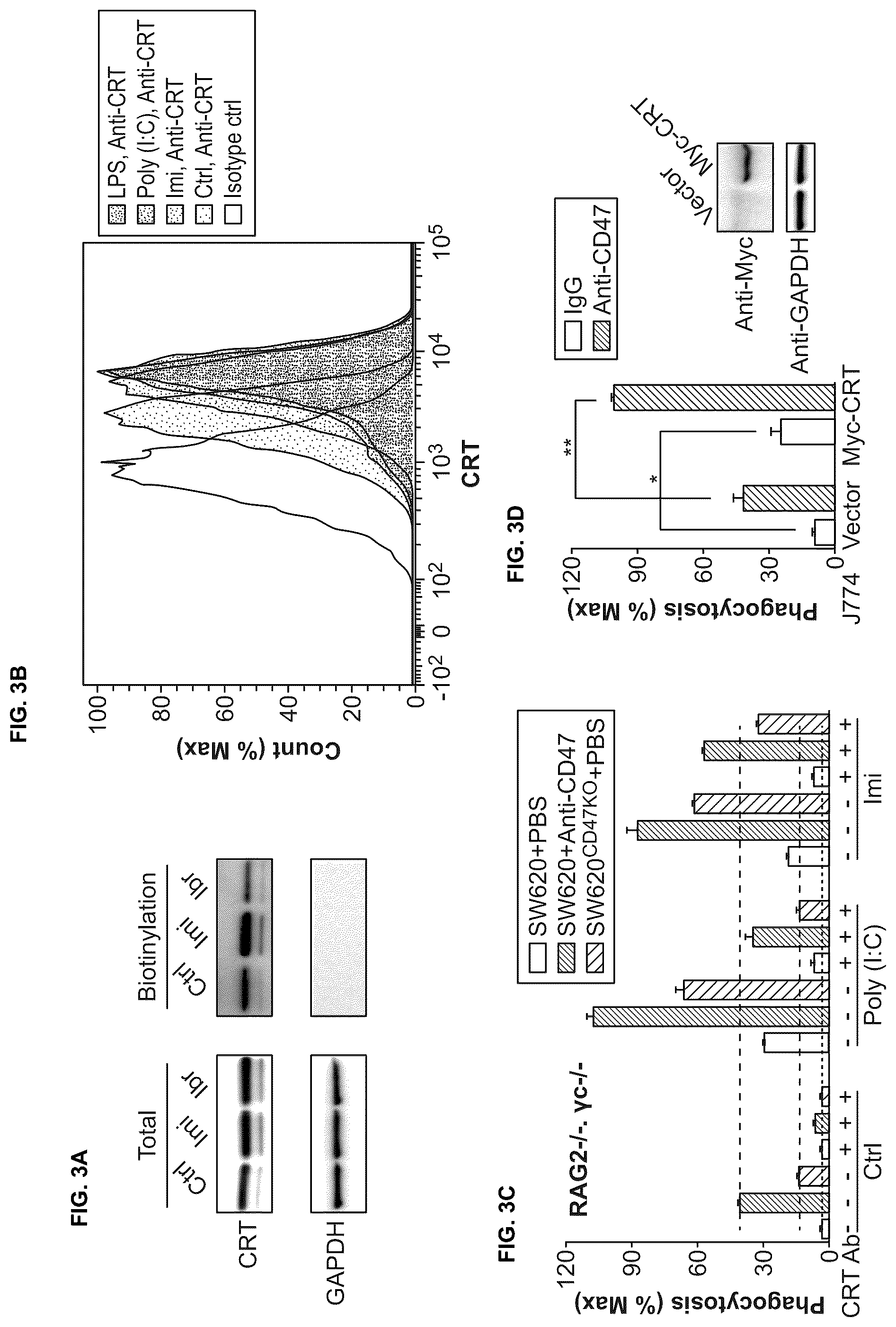 Patent US12318448 Figure 3 – Use of TLR agonist and anti-CD47 agent to enhance phagocytosis of cancer cells