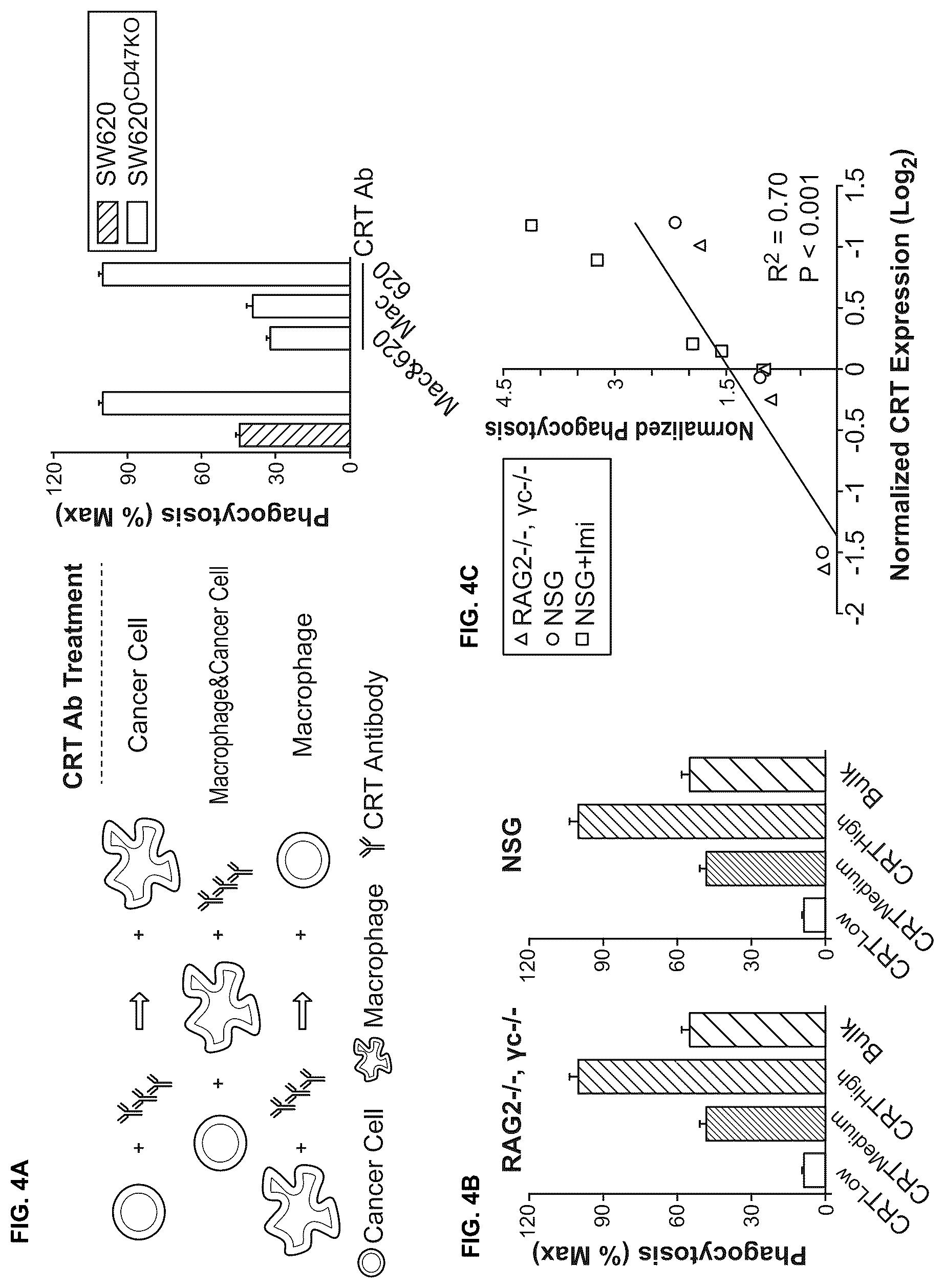 Patent US12318448 Figure 4 – Use of TLR agonist and anti-CD47 agent to enhance phagocytosis of cancer cells