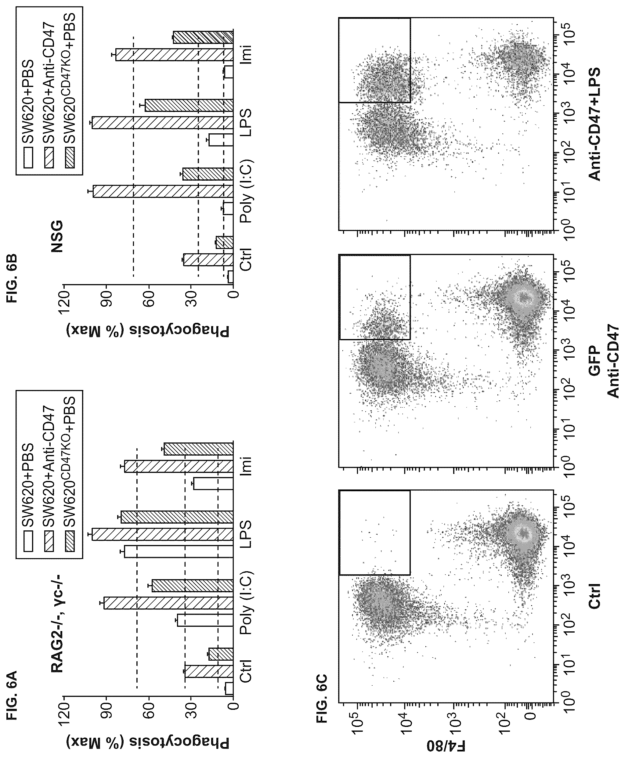 Patent US12318448 Figure 6 – Use of TLR agonist and anti-CD47 agent to enhance phagocytosis of cancer cells