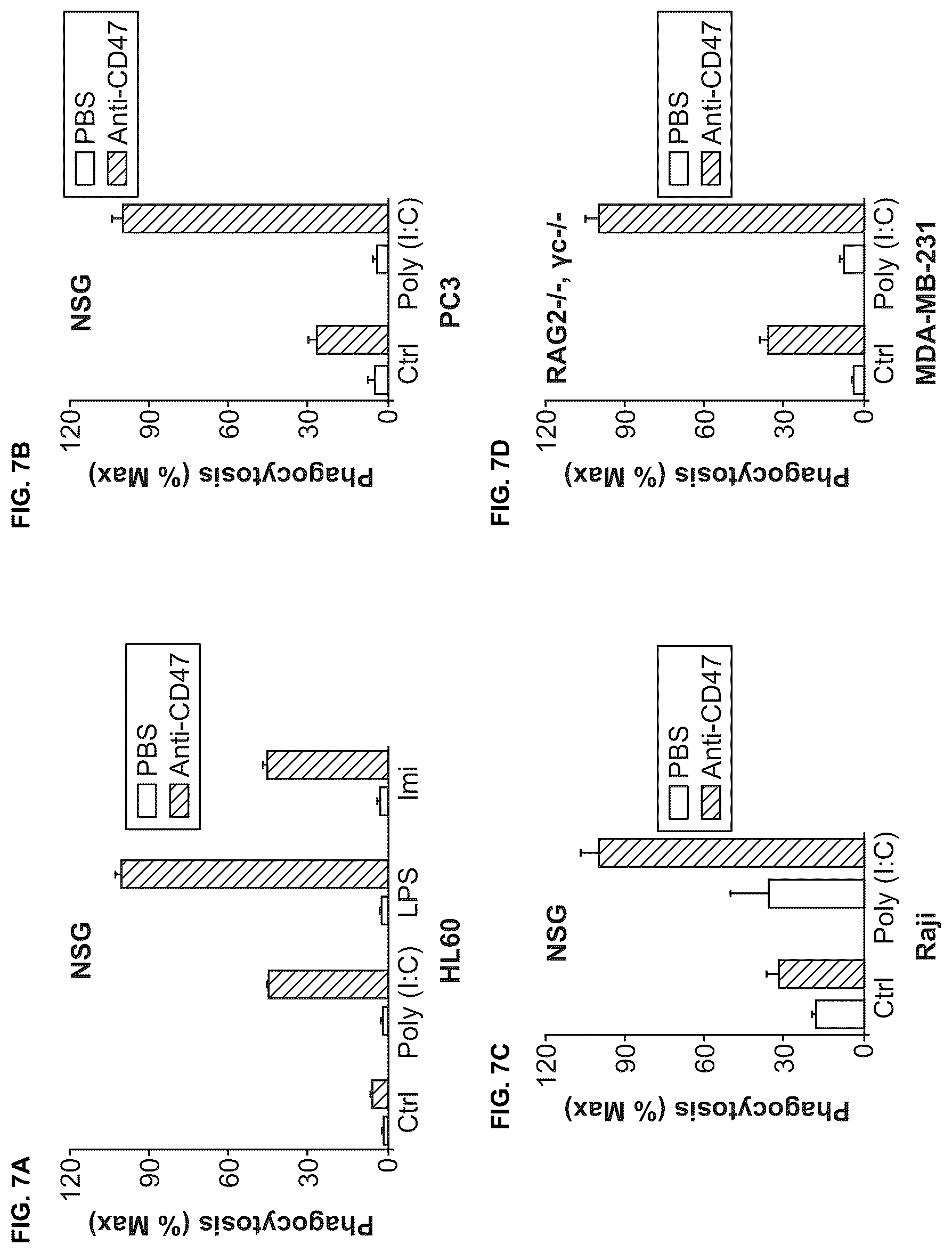 Patent US12318448 Figure 7 – Use of TLR agonist and anti-CD47 agent to enhance phagocytosis of cancer cells