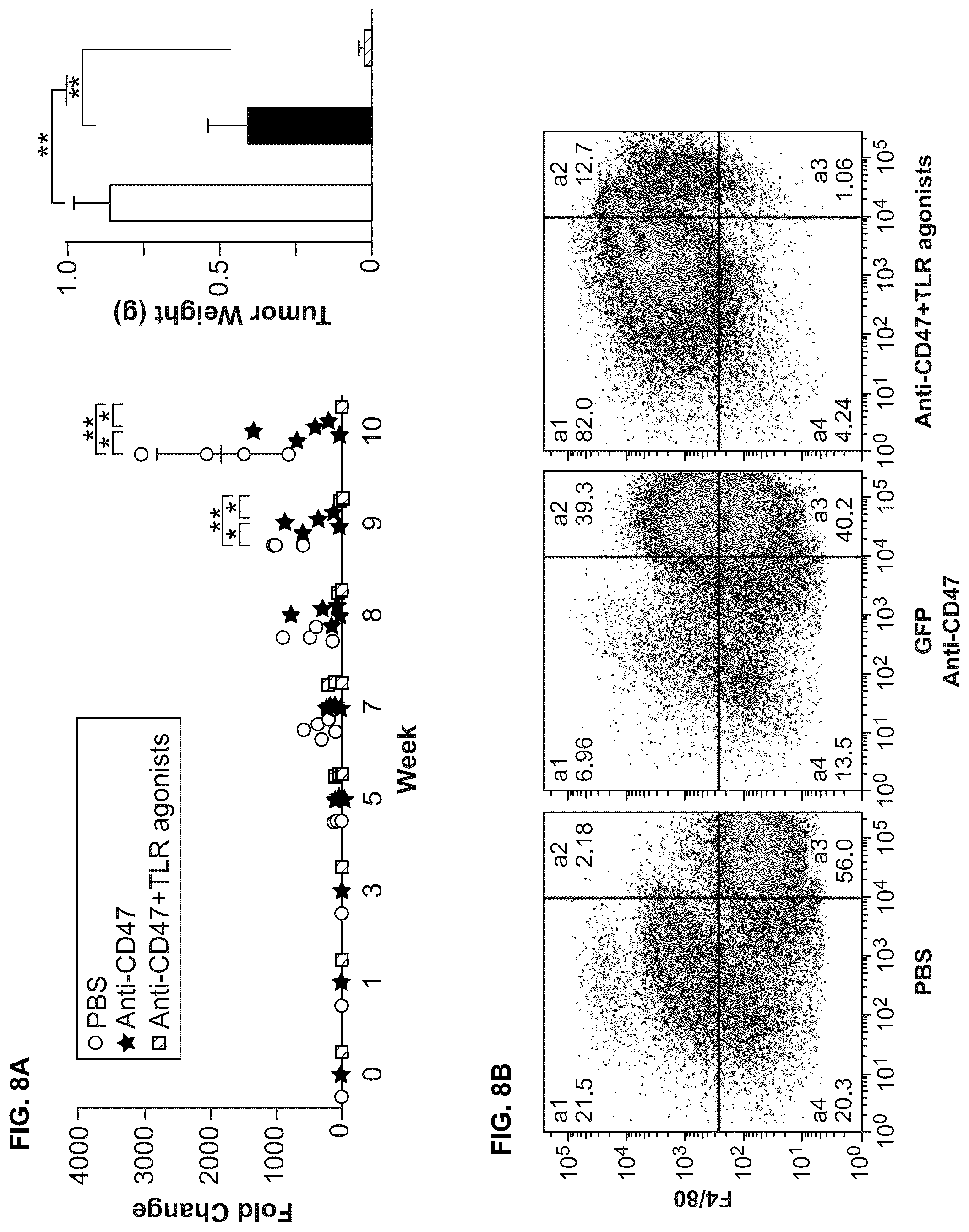 Patent US12318448 Figure 8 – Use of TLR agonist and anti-CD47 agent to enhance phagocytosis of cancer cells