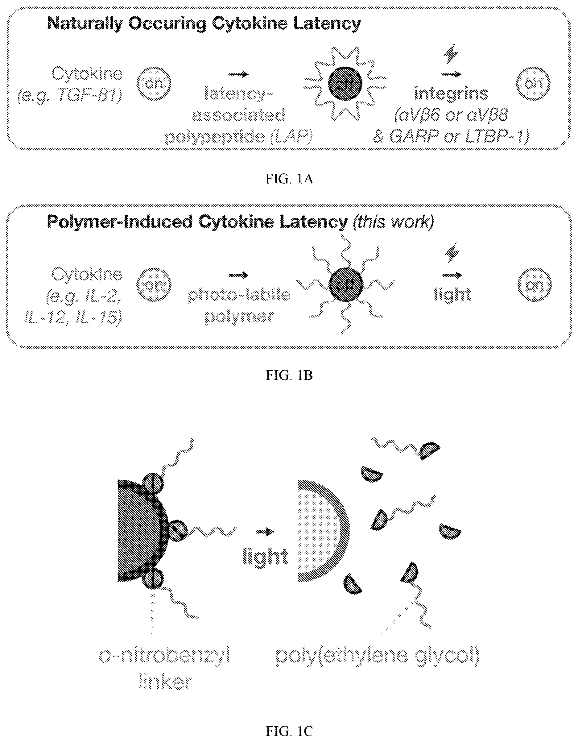 Patent US12318450 Figure 1 – Photolysis to unlock caged protein therapeutics