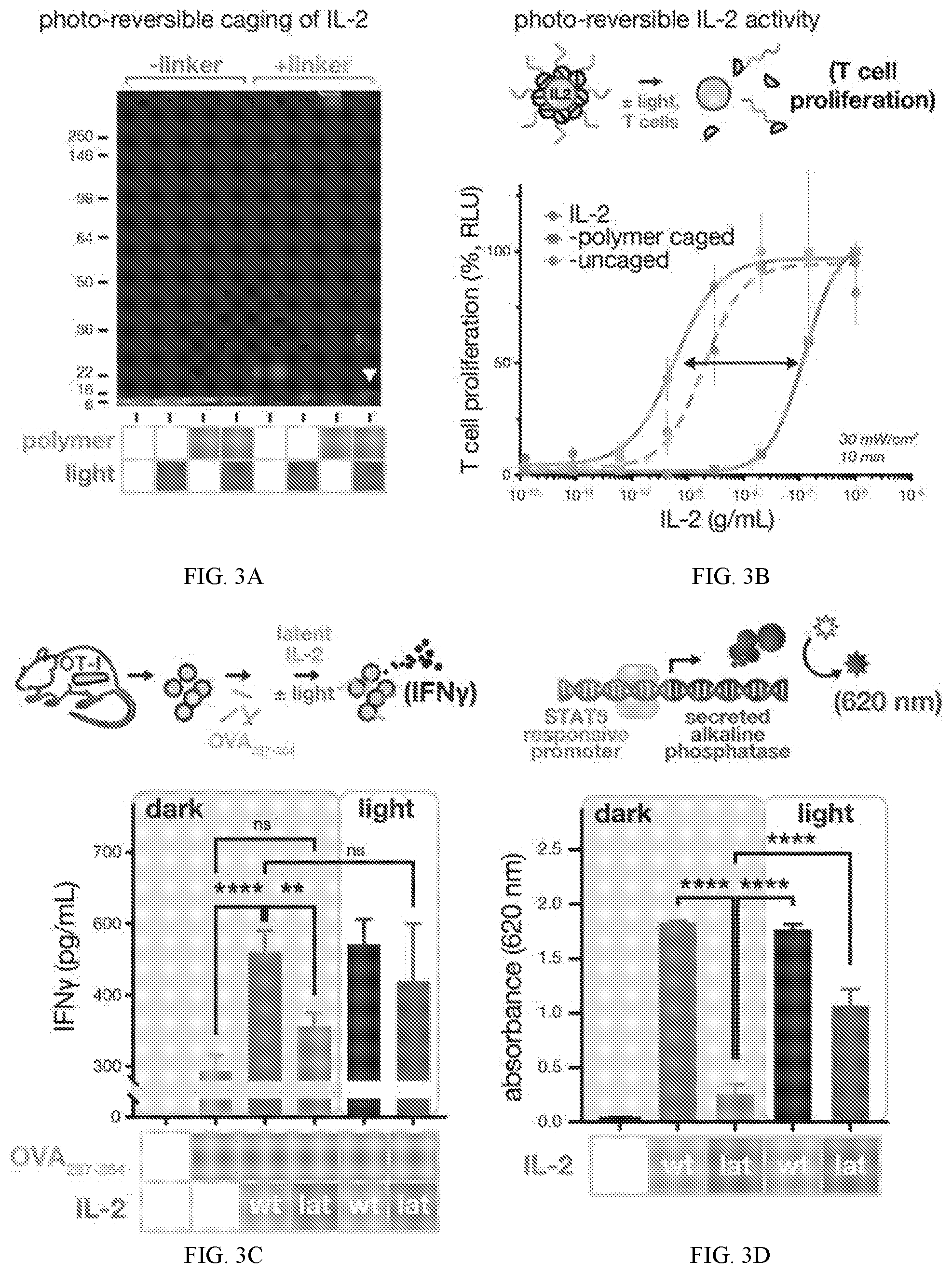 Patent US12318450 Figure 5 – Photolysis to unlock caged protein therapeutics