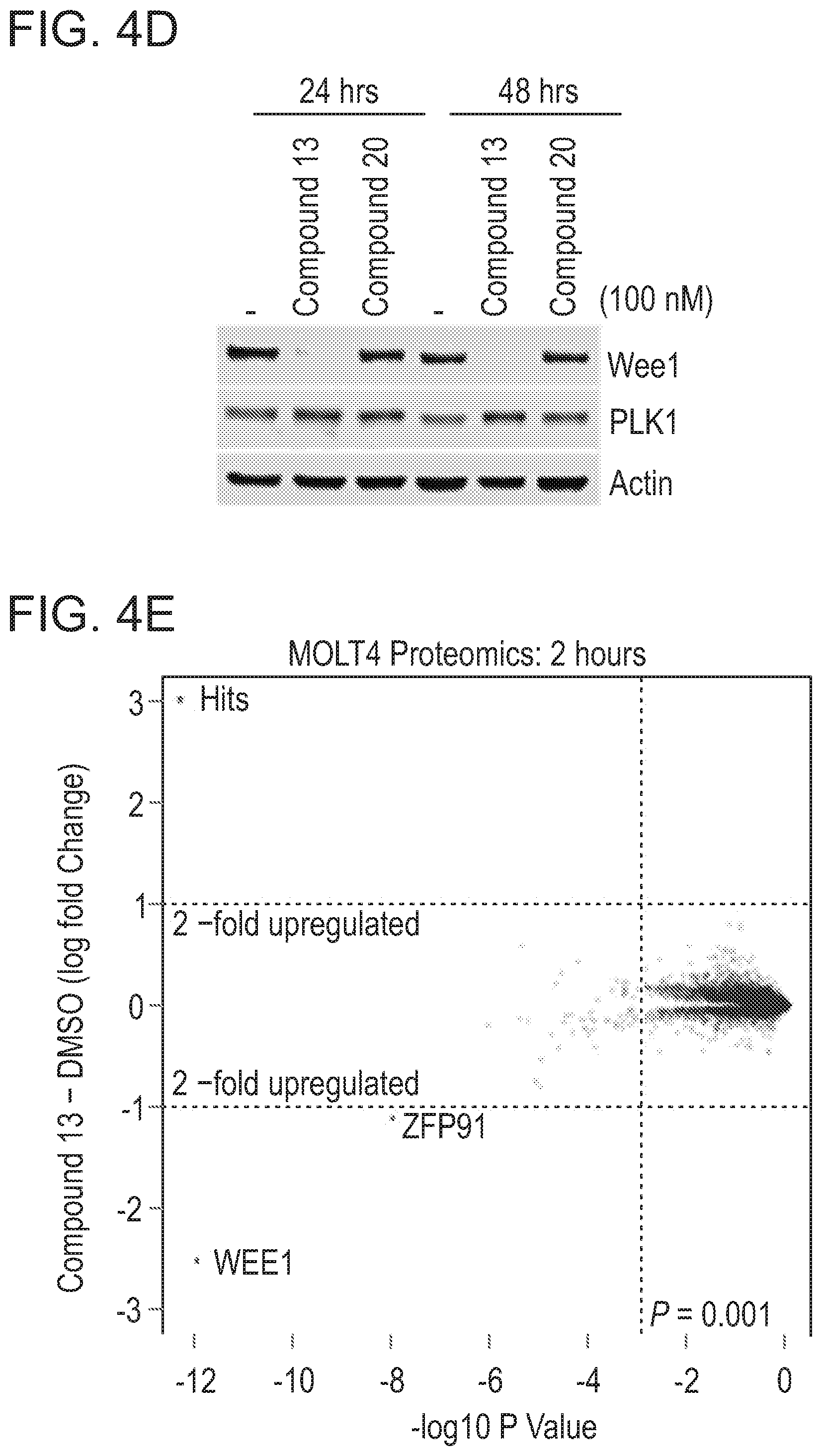 Patent US12318452 Figure 8 – Degraders of WEE1 kinase