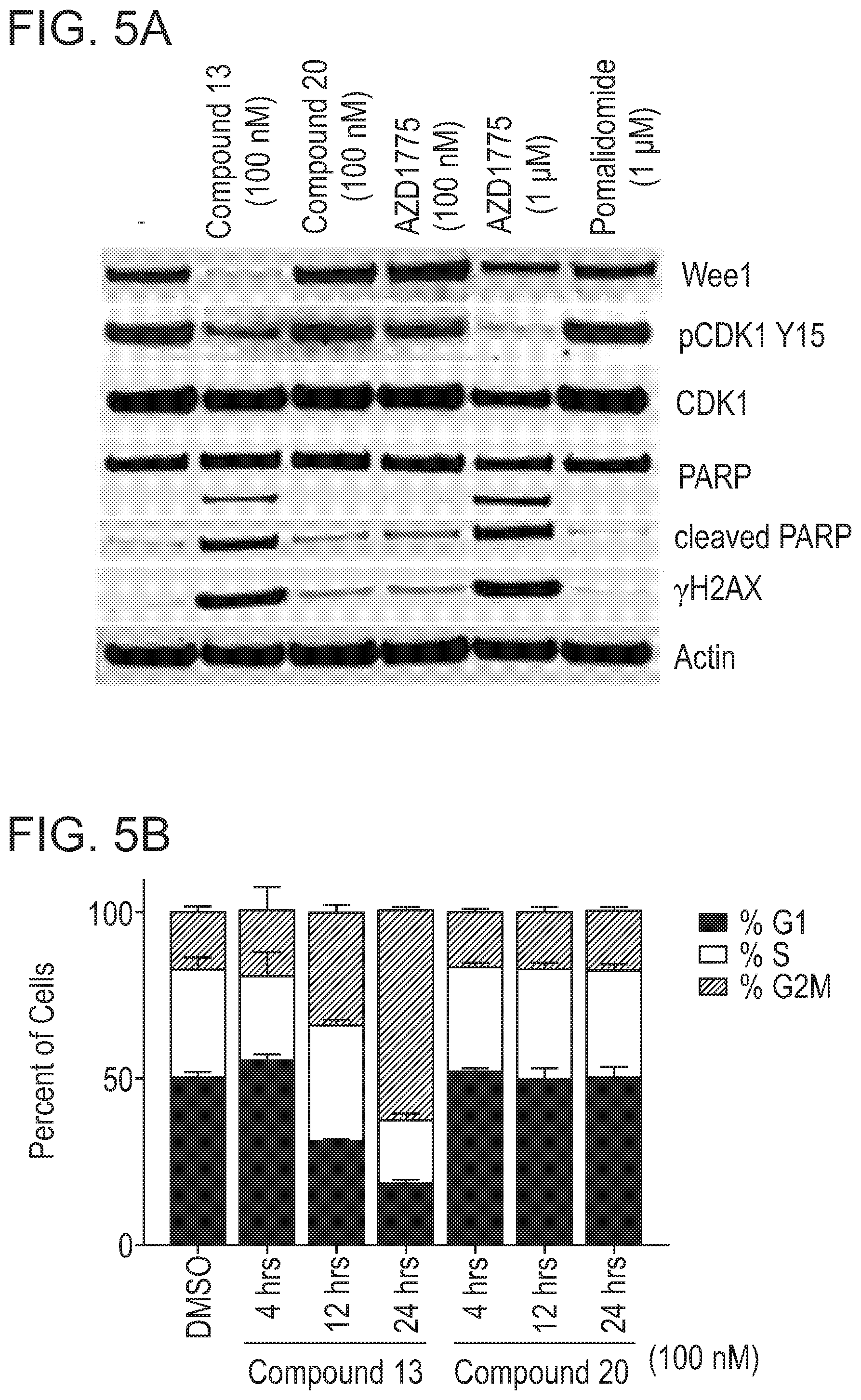 Patent US12318452 Figure 9 – Degraders of WEE1 kinase