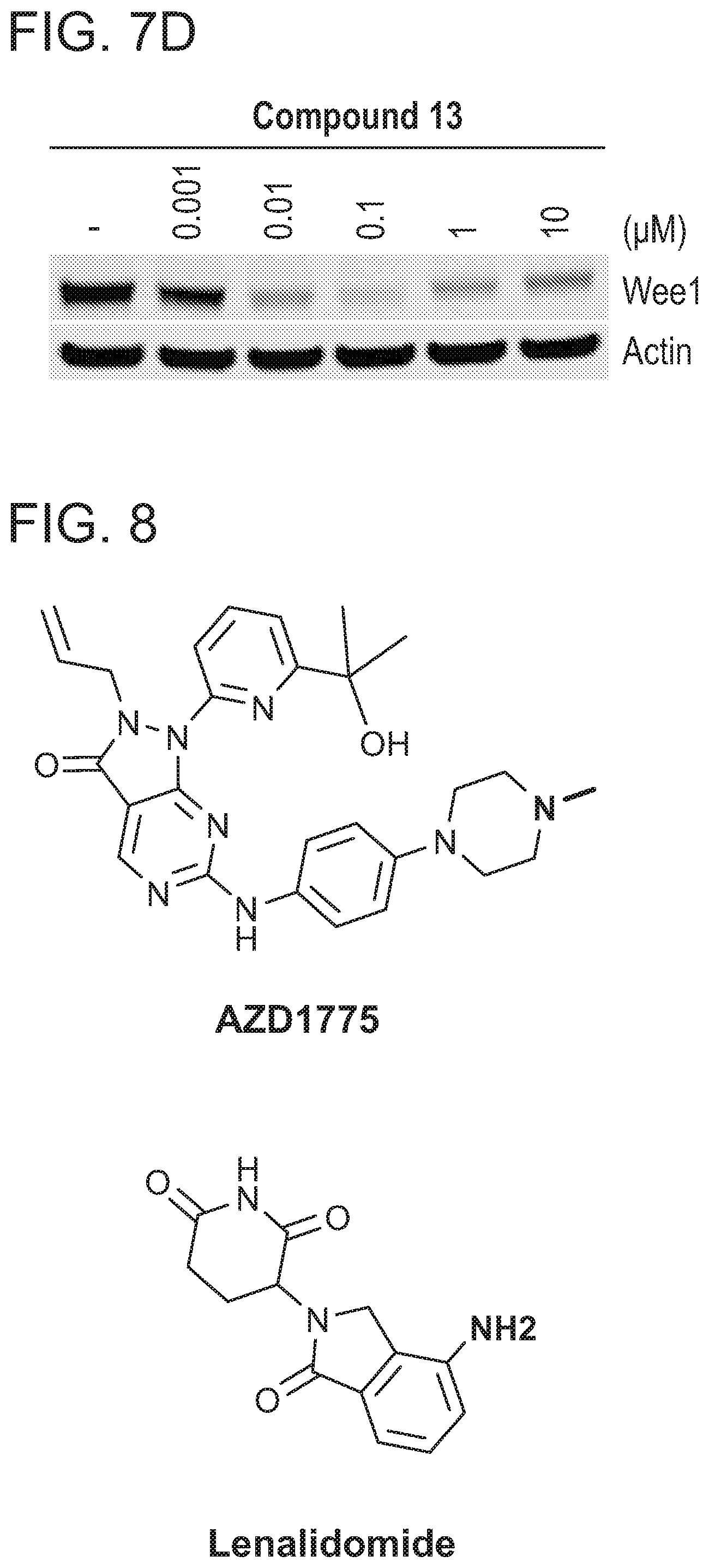 Patent US12318452 Figure 15 – Degraders of WEE1 kinase