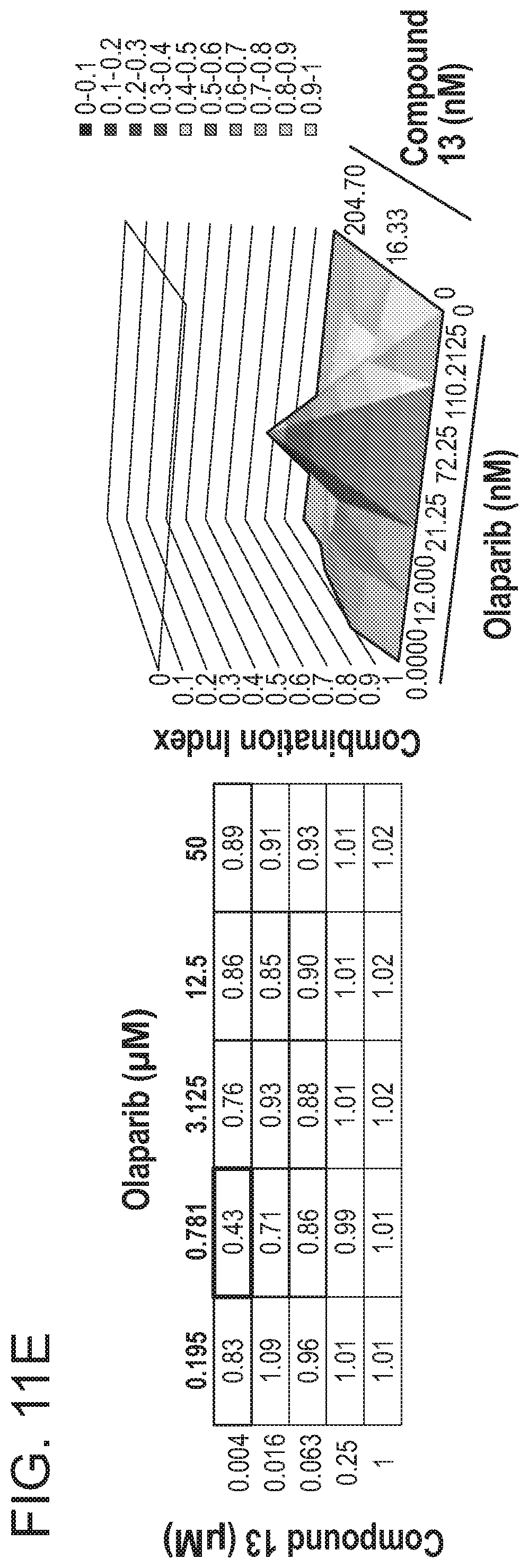 Patent US12318452 Figure 20 – Degraders of WEE1 kinase