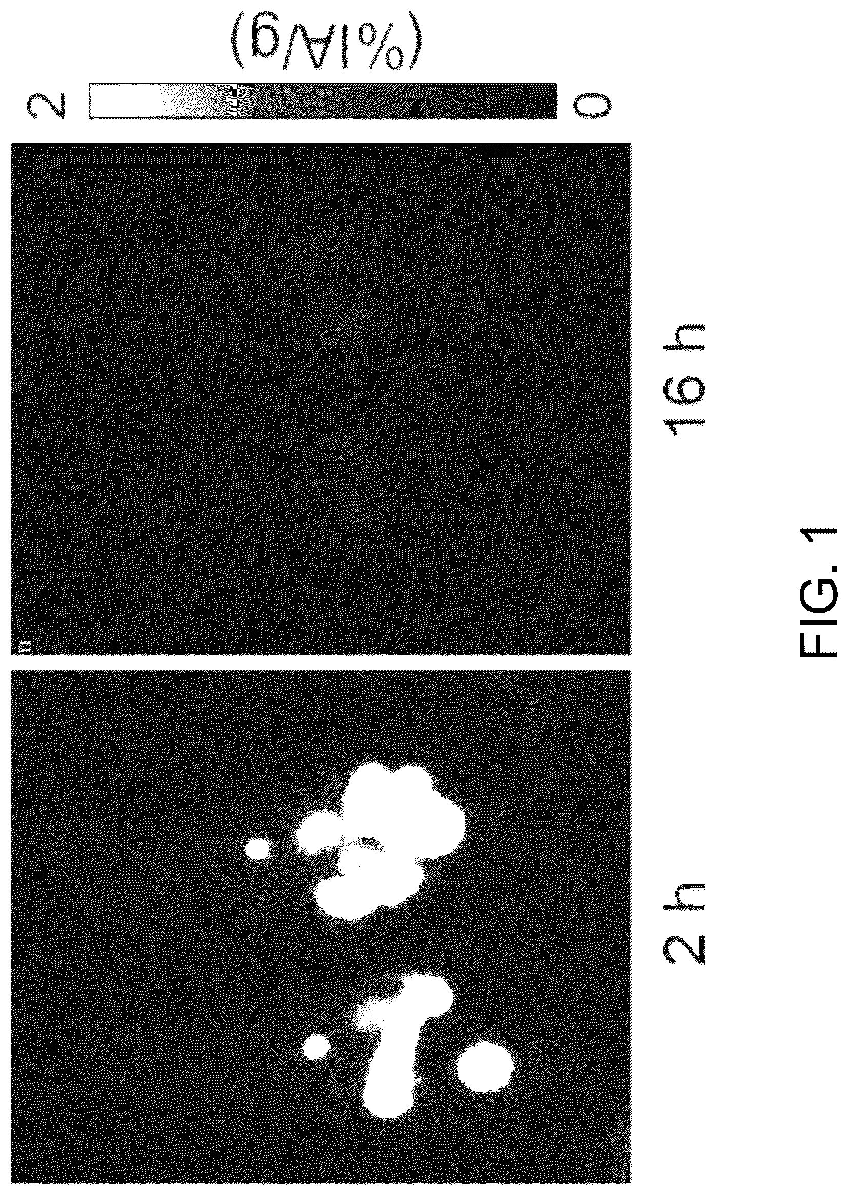 Patent US12318458 Figure 1 – PSMA-targeting ligands with optimal properties for imaging and therapy