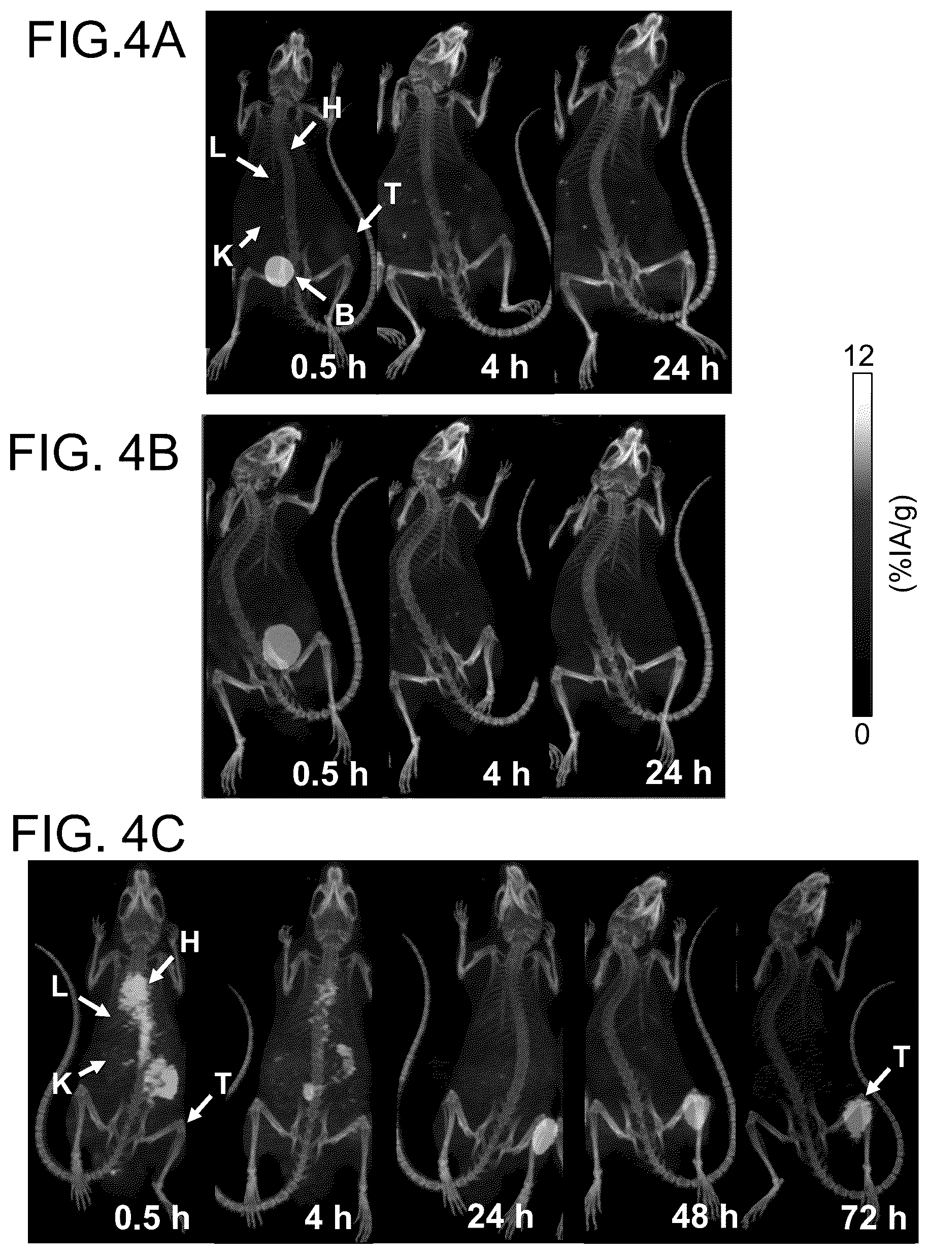 Patent US12318458 Figure 4 – PSMA-targeting ligands with optimal properties for imaging and therapy