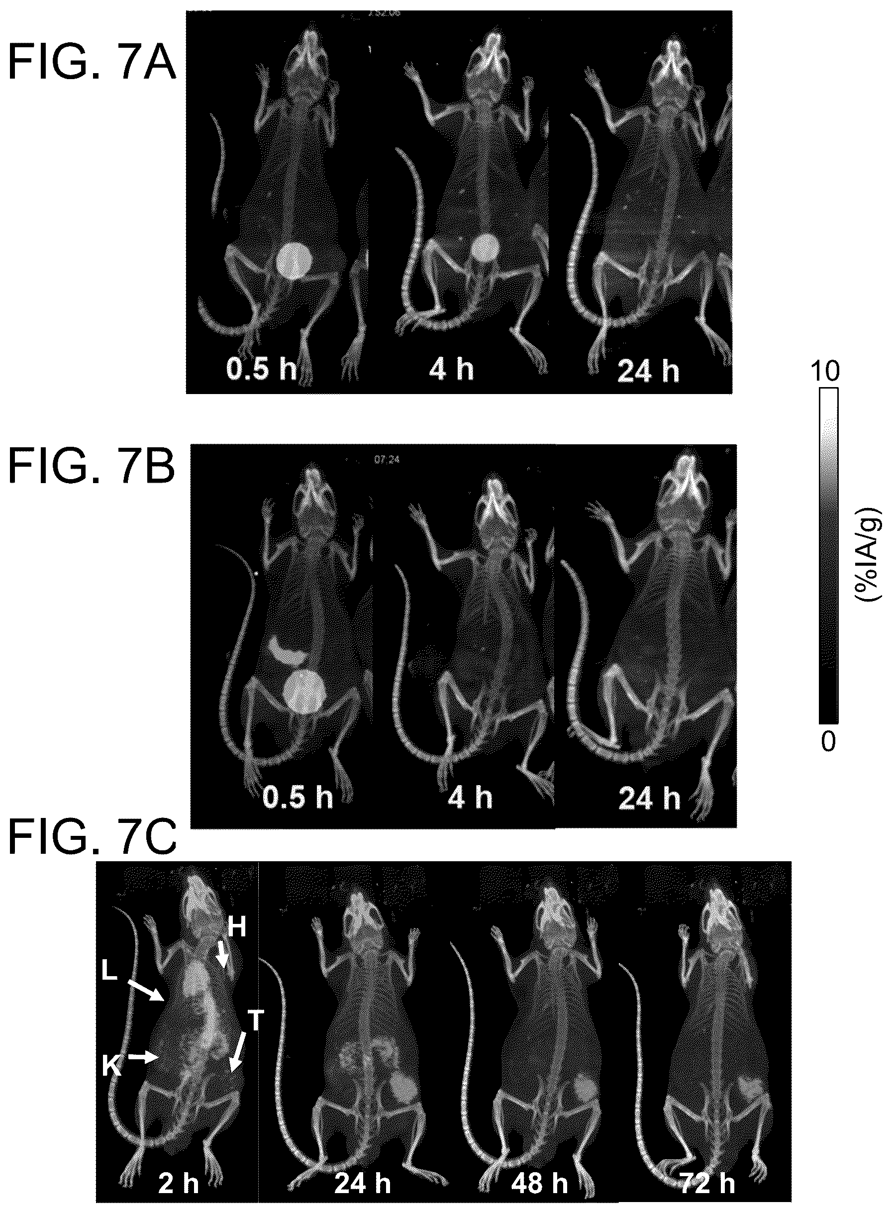 Patent US12318458 Figure 7 – PSMA-targeting ligands with optimal properties for imaging and therapy
