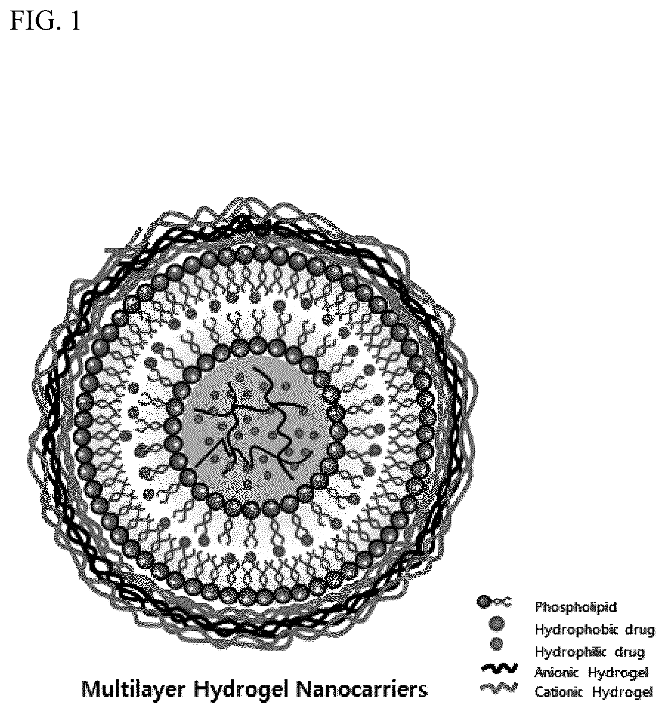 Patent US12318462 Figure 1 – Multi-coated nanoparticles comprising multiple coating layers of chitosan and polyglutamic acid, composition for skin care comprising the same and method for manufacturing the same