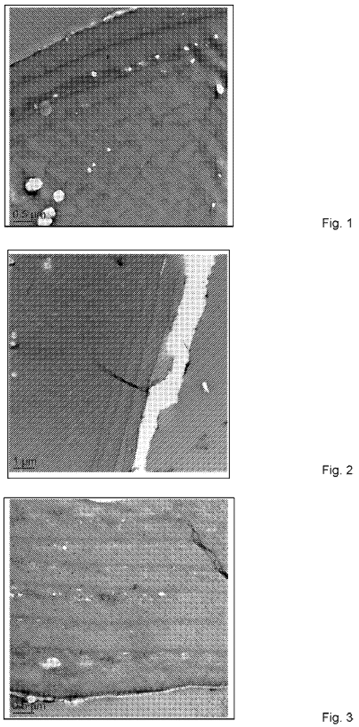 Patent US12318468 Figure 1 – Chemical composition