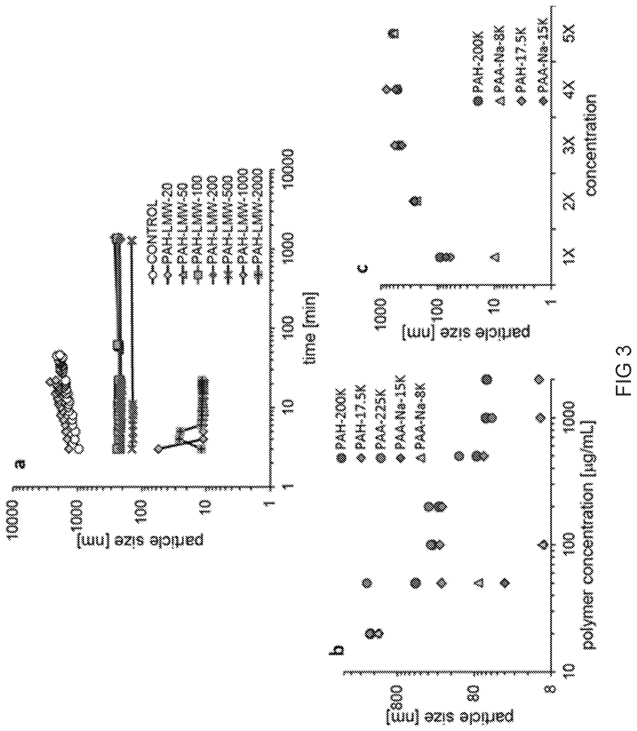 Patent US12318475 Figure 2 – Injectable pastes based on oppositely charged polymer/calcium phosphate nanoparticles