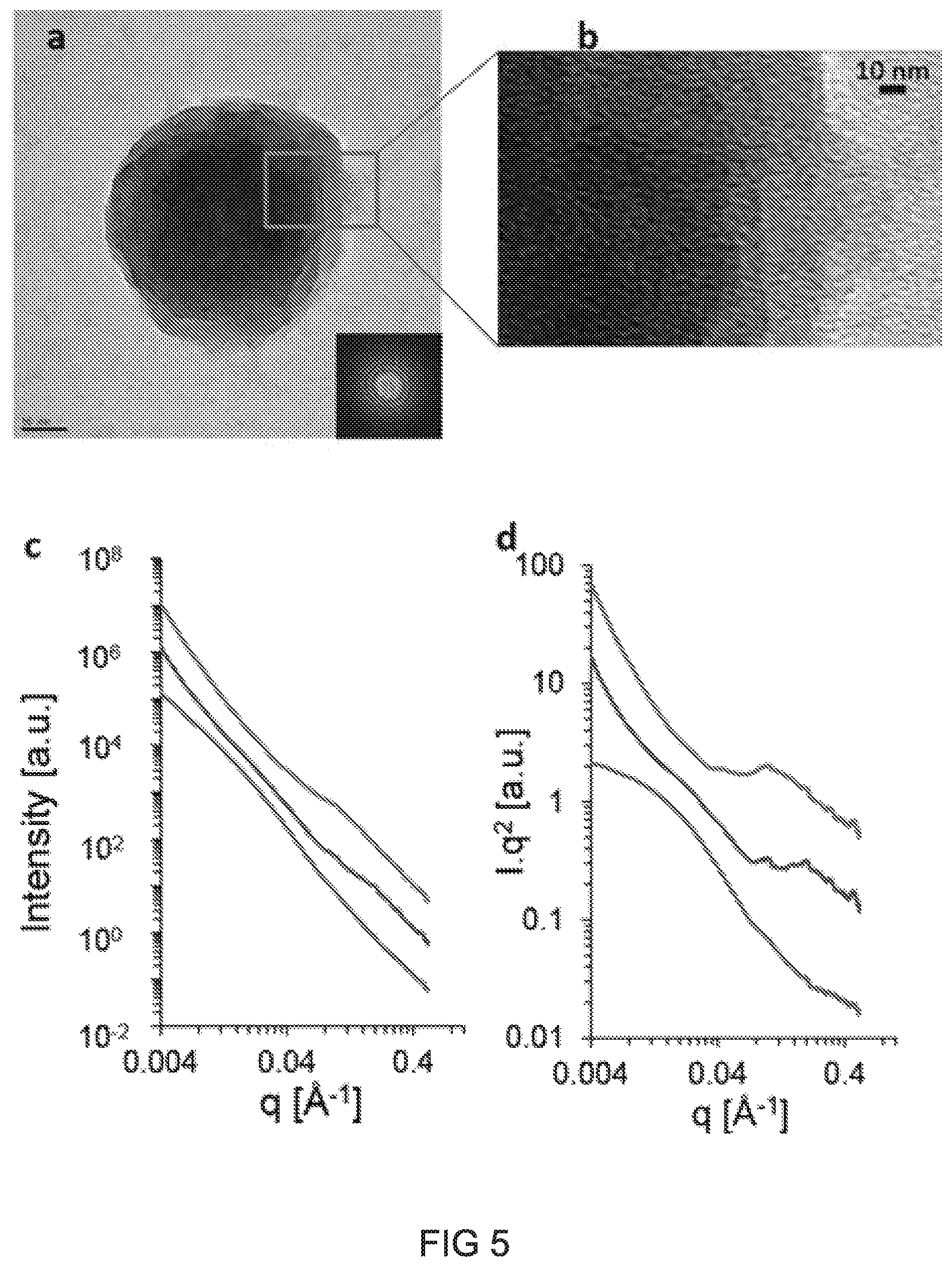 Patent US12318475 Figure 6 – Injectable pastes based on oppositely charged polymer/calcium phosphate nanoparticles