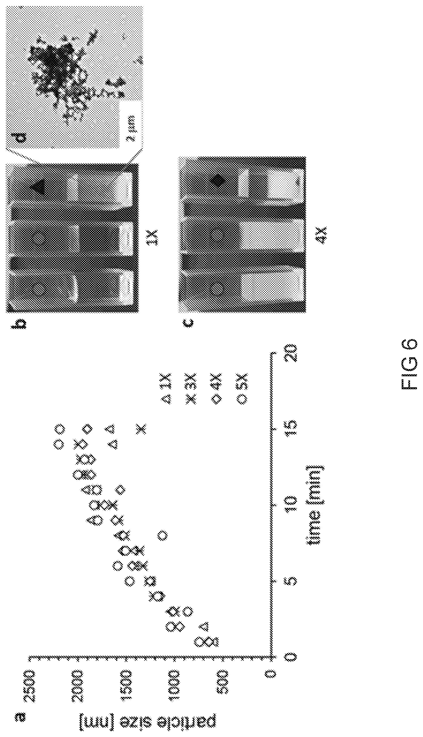 Patent US12318475 Figure 7 – Injectable pastes based on oppositely charged polymer/calcium phosphate nanoparticles