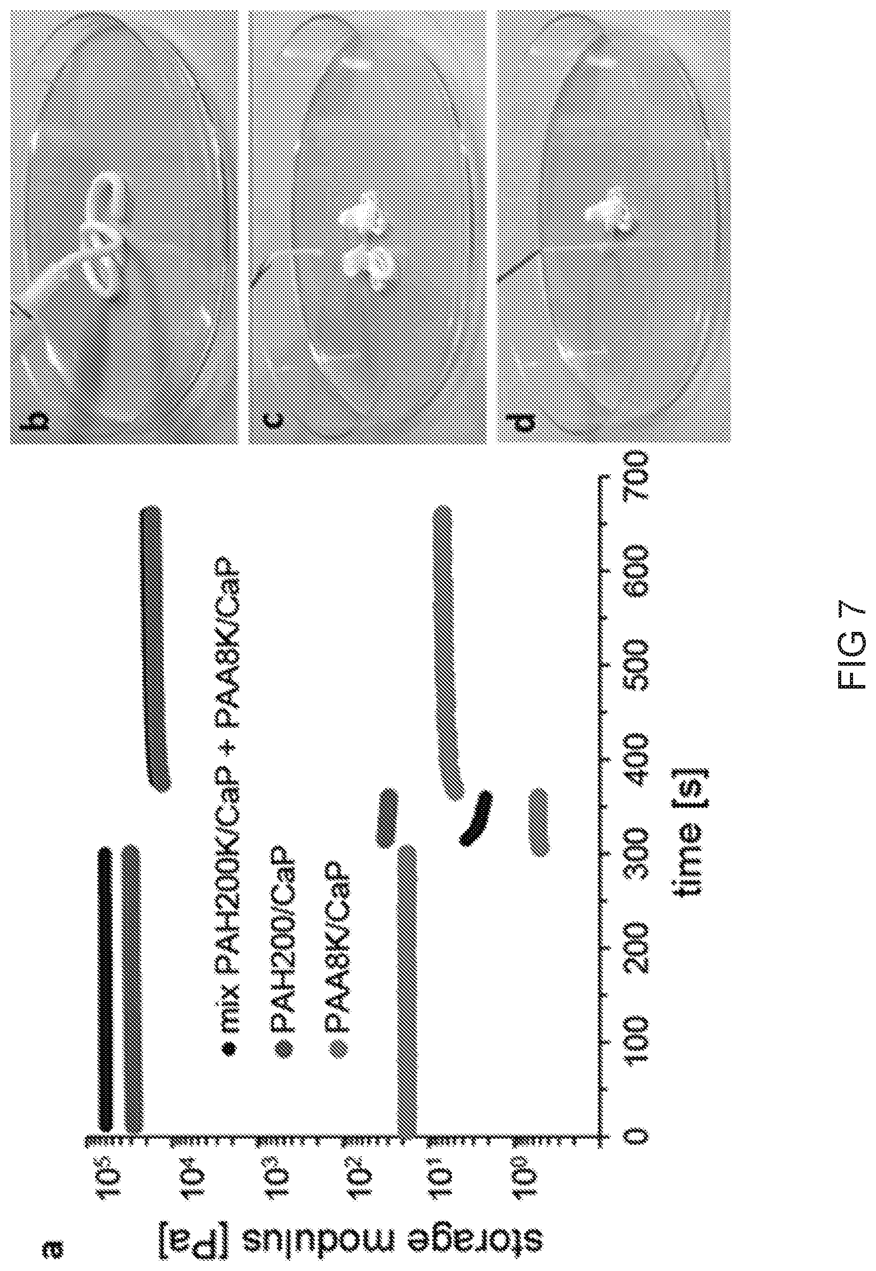 Patent US12318475 Figure 8 – Injectable pastes based on oppositely charged polymer/calcium phosphate nanoparticles