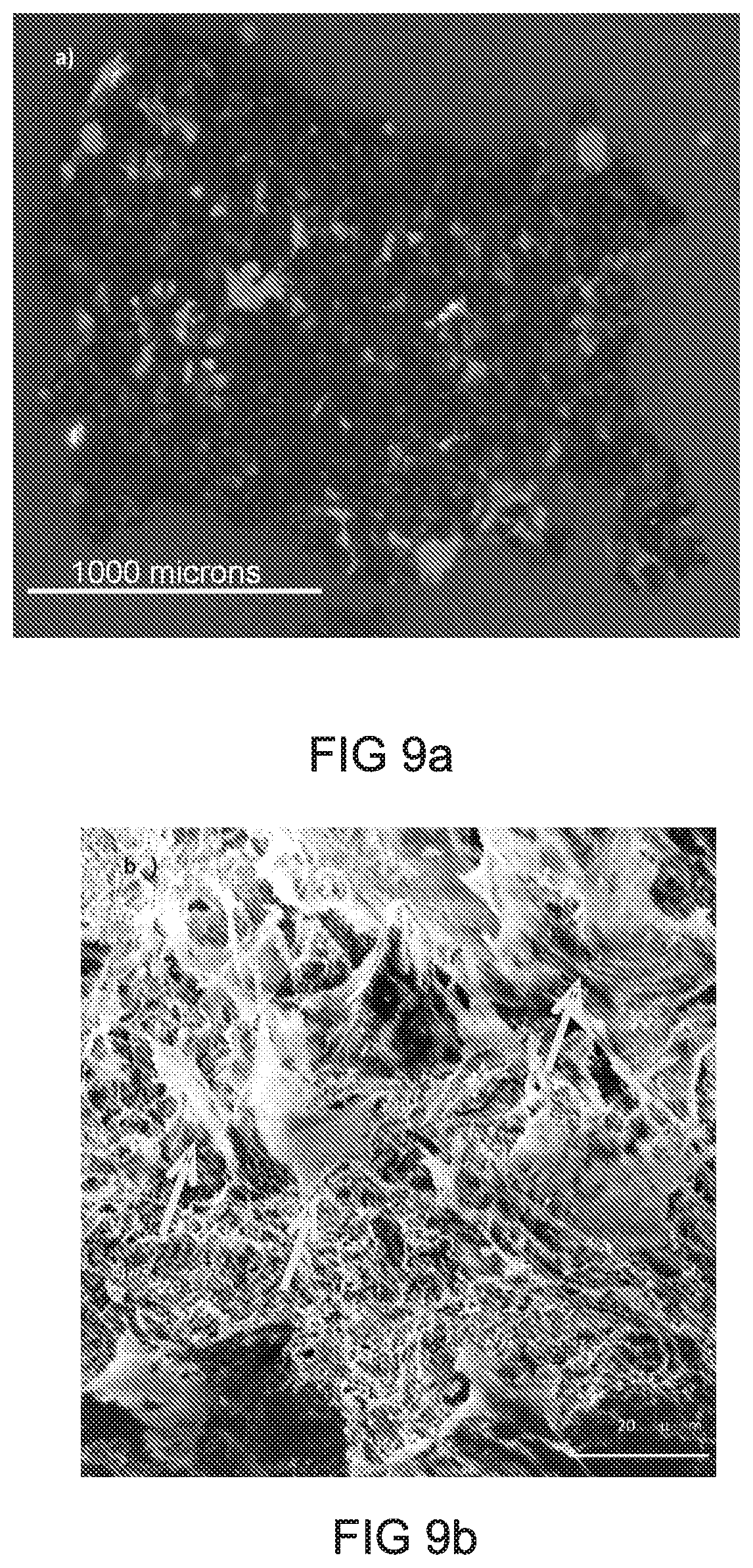Patent US12318475 Figure 10 – Injectable pastes based on oppositely charged polymer/calcium phosphate nanoparticles