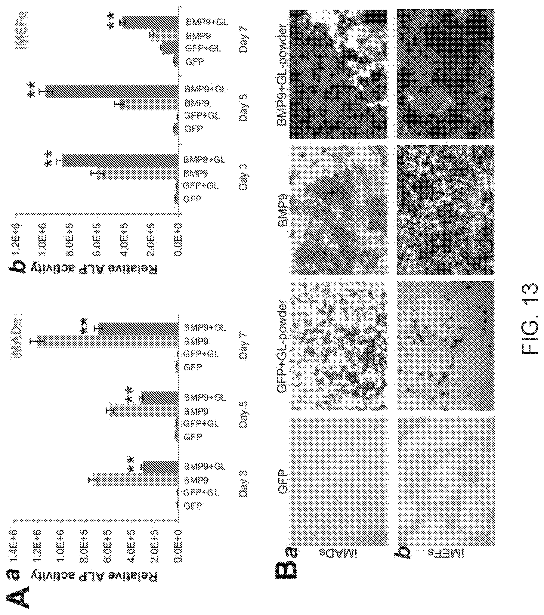 Patent US12318475 Figure 14 – Injectable pastes based on oppositely charged polymer/calcium phosphate nanoparticles