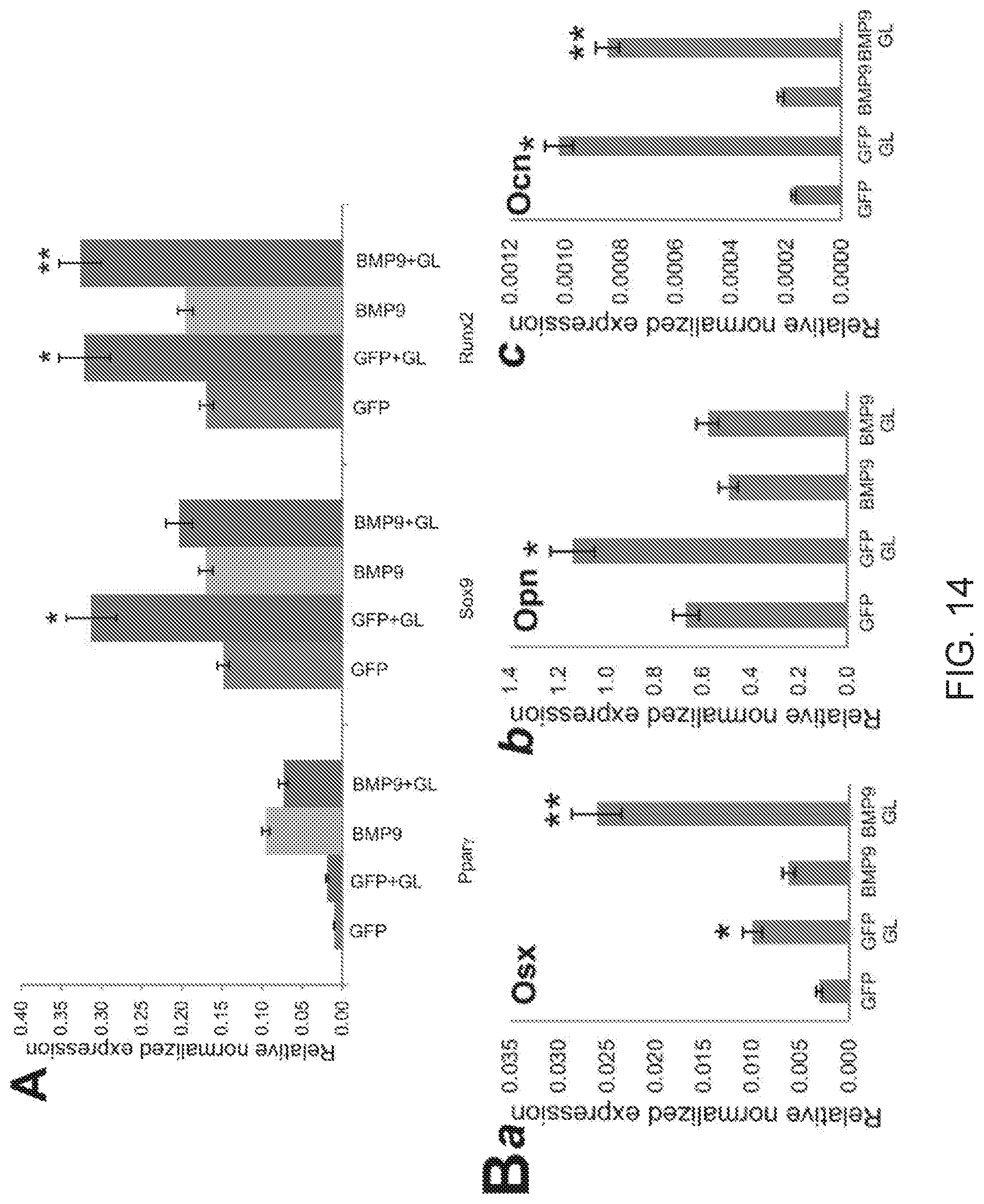 Patent US12318475 Figure 15 – Injectable pastes based on oppositely charged polymer/calcium phosphate nanoparticles