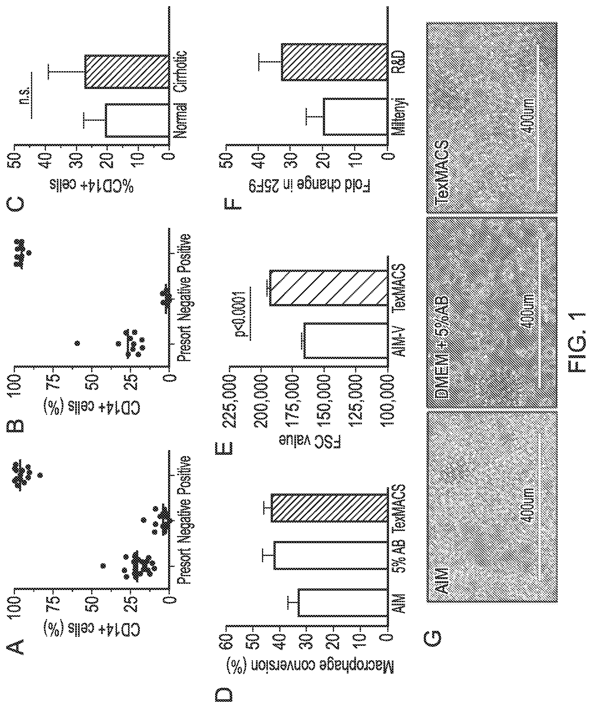Patent US12318476 — Macrophage-based therapy — Figure 1